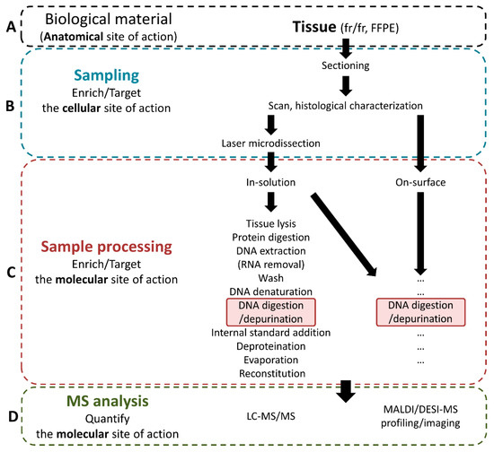 Biomedicines 10 00001 g003