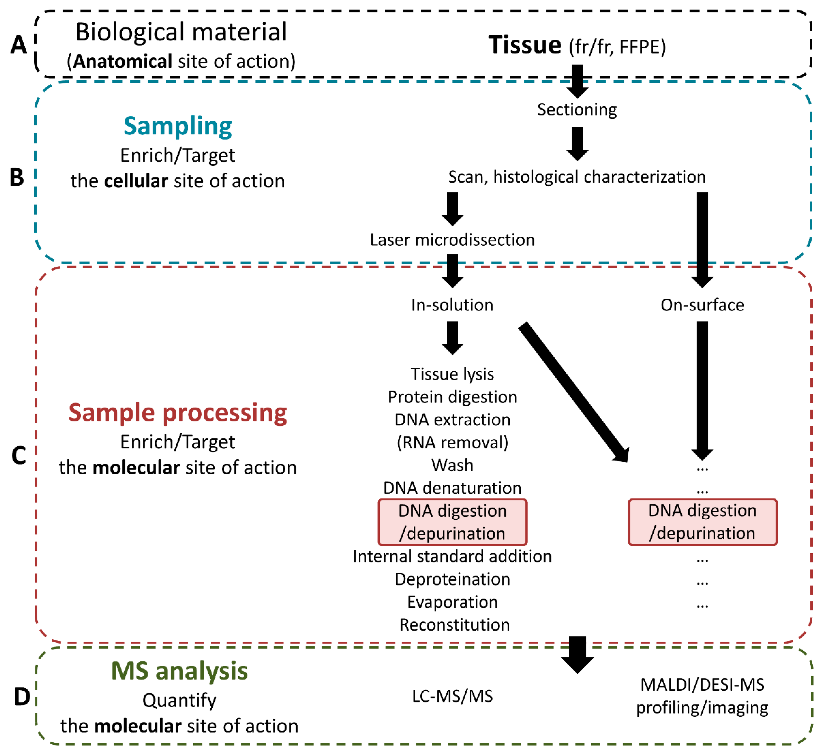 Biomedicines 10 00001 g003