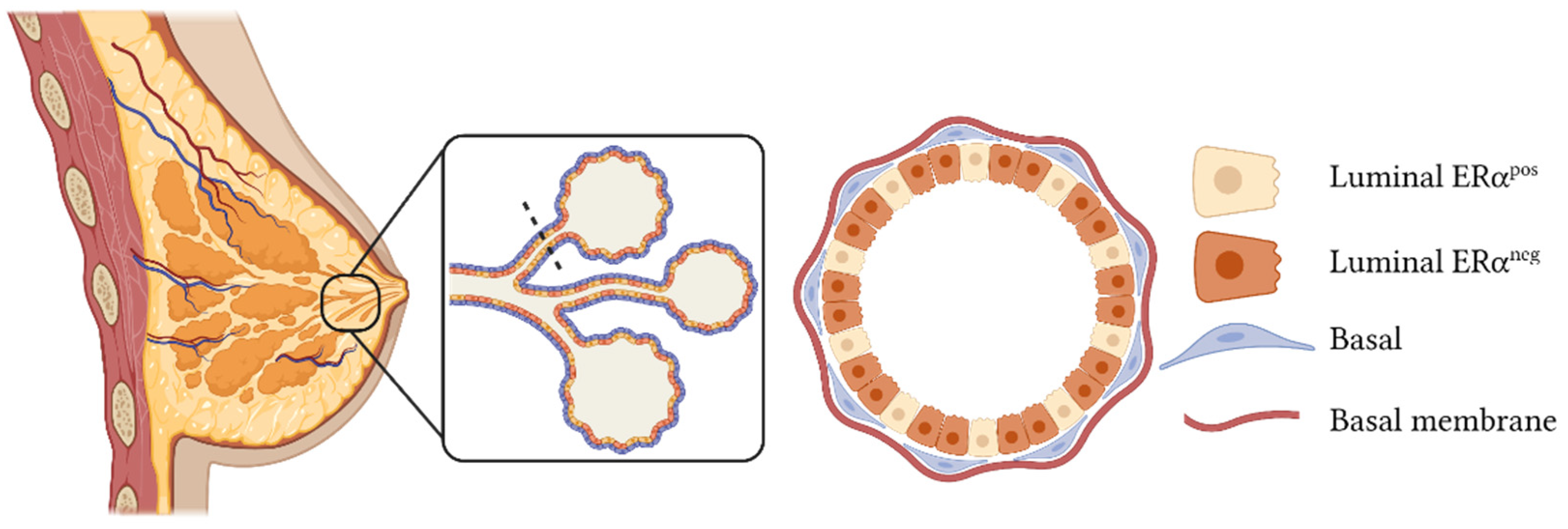 Biomedicines 10 00003 g001