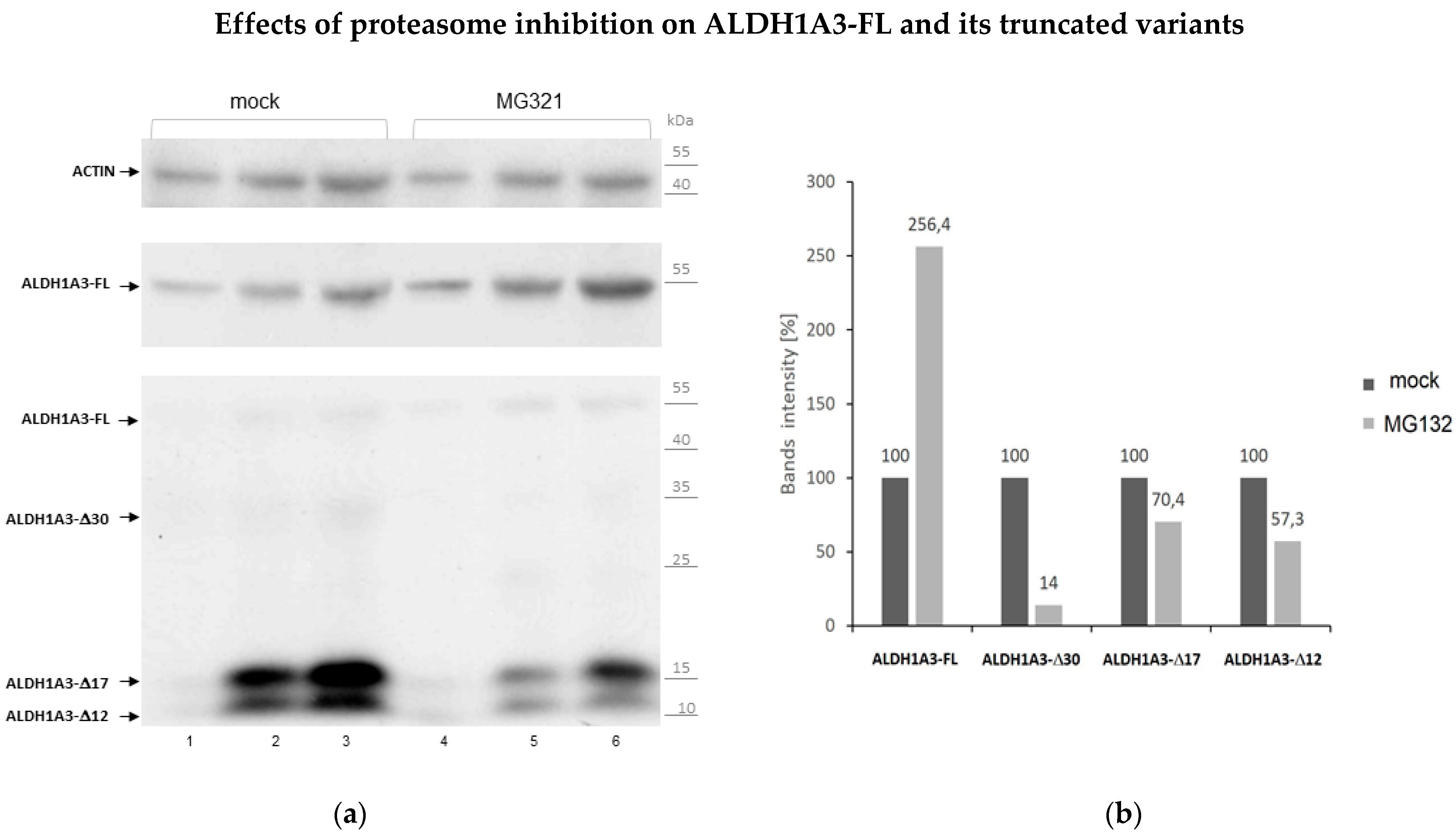 Biomedicines 10 00007 g007