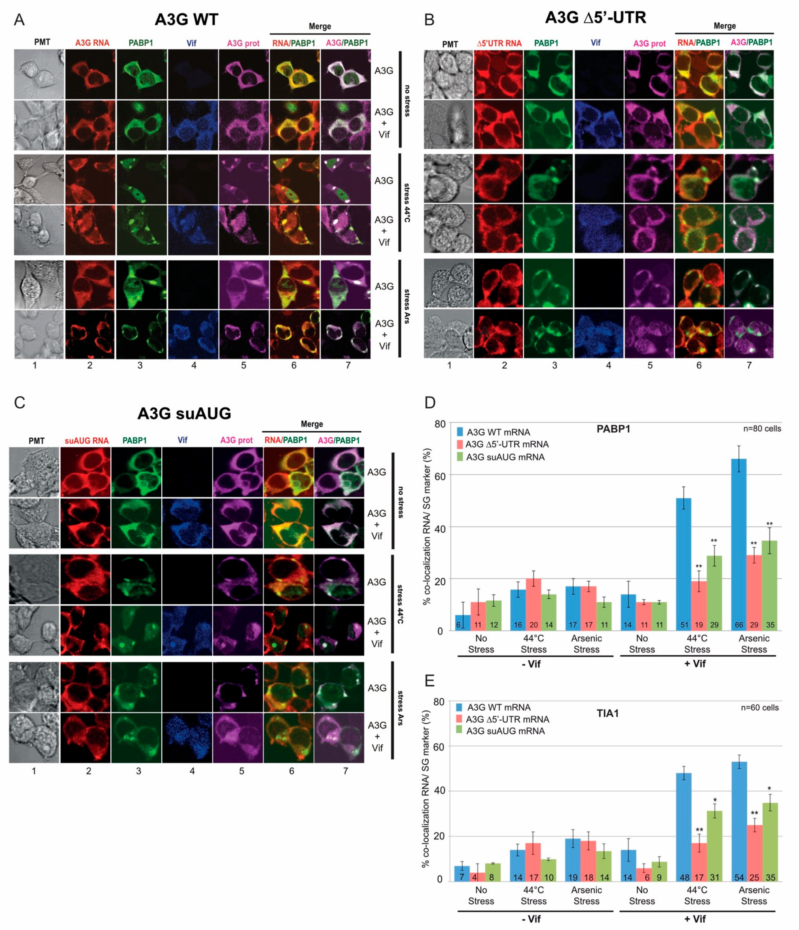 Biomedicines 10 00013 g005
