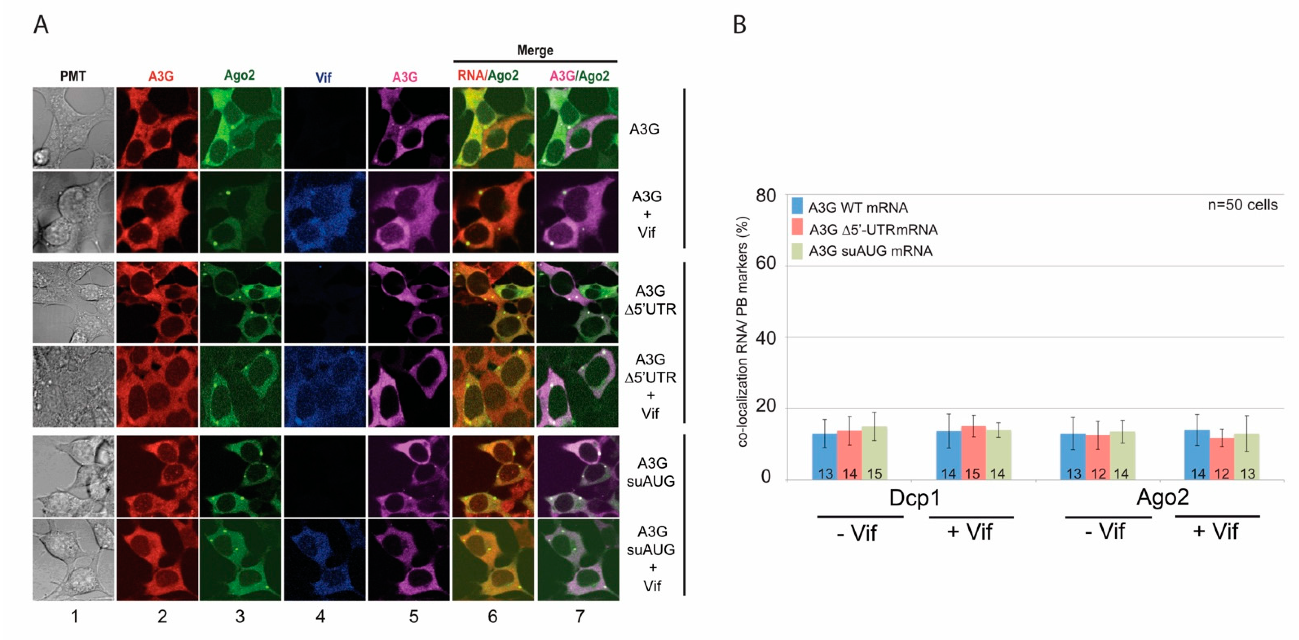 Biomedicines 10 00013 g006