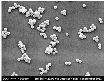 Biomedicines 10 00017 i003