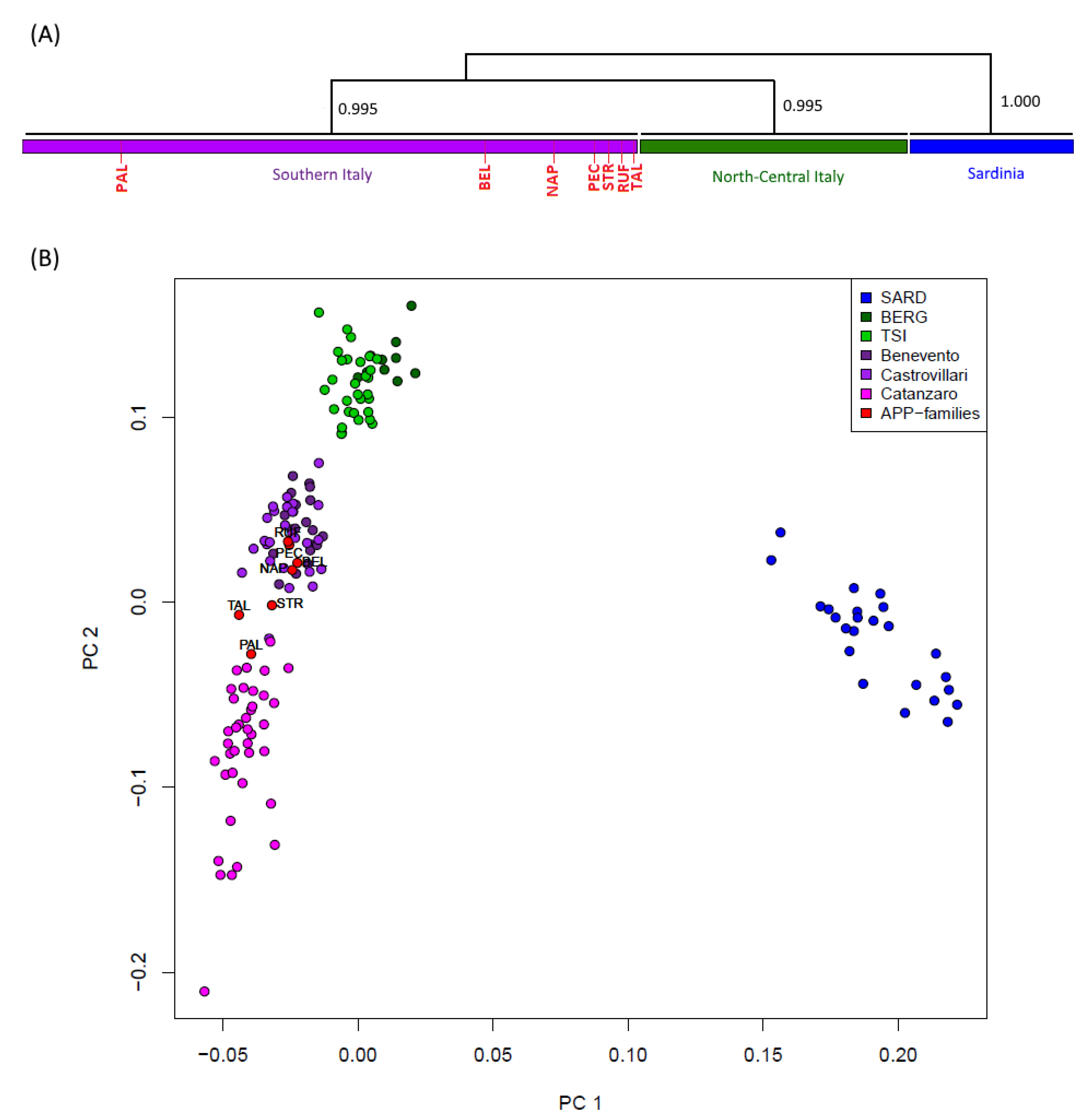 Biomedicines 10 00020 g001