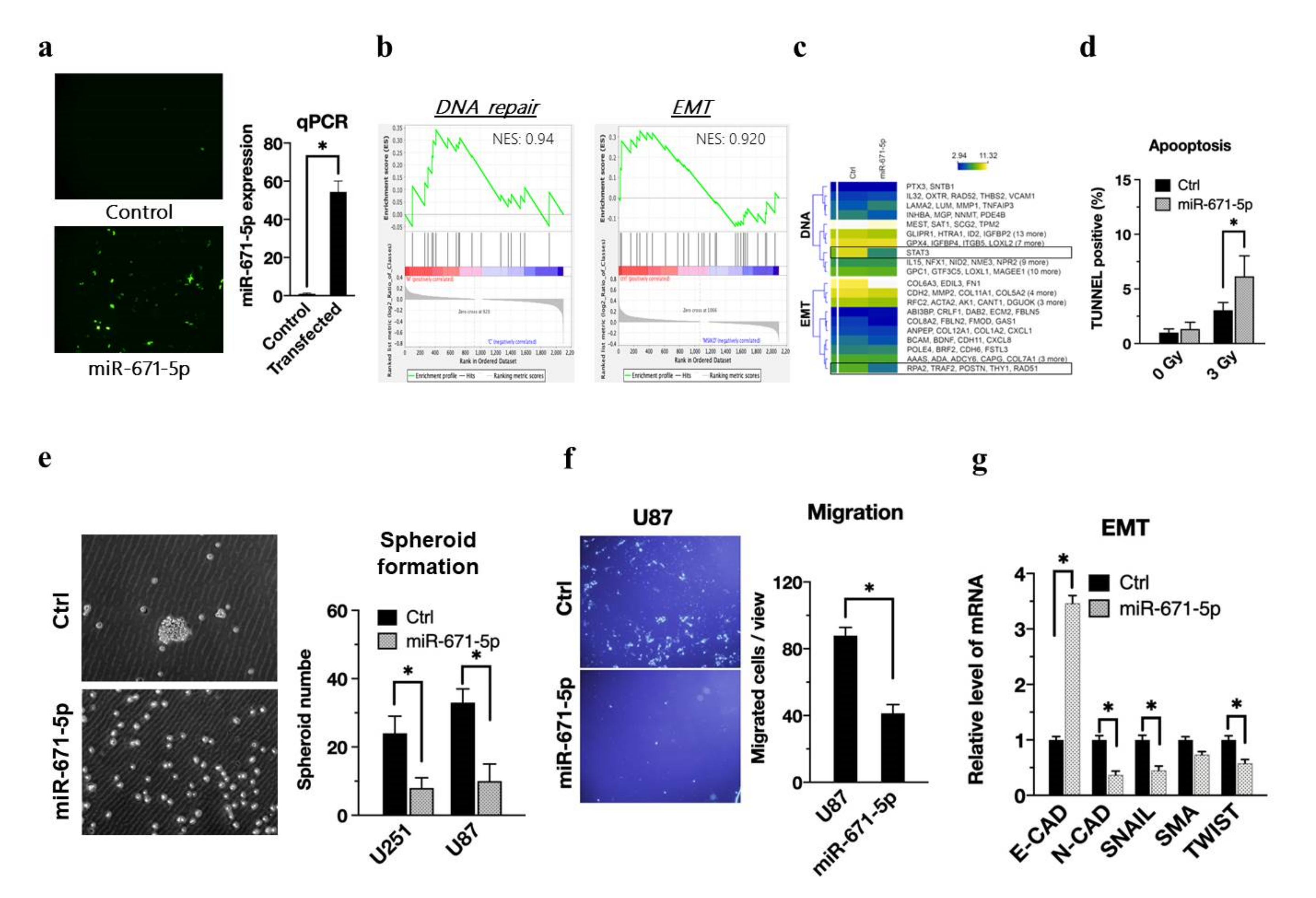 Biomedicines 10 00021 g002