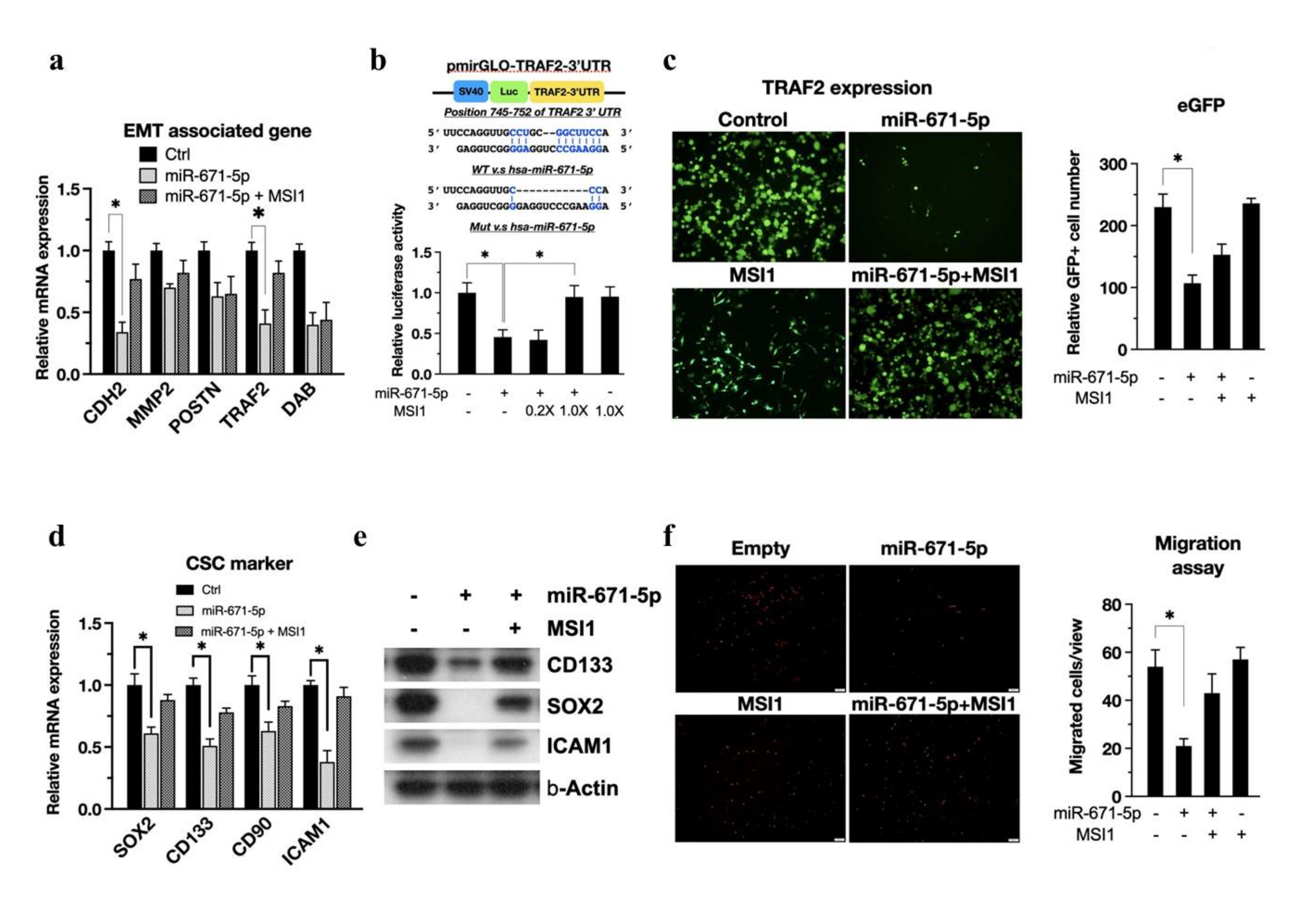Biomedicines 10 00021 g004