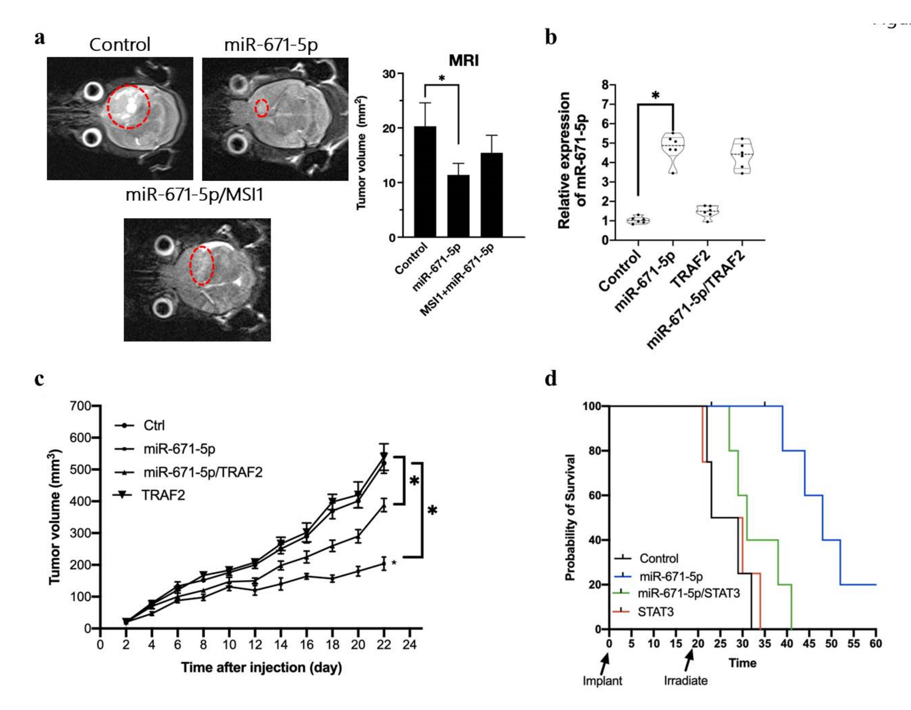 Biomedicines 10 00021 g005