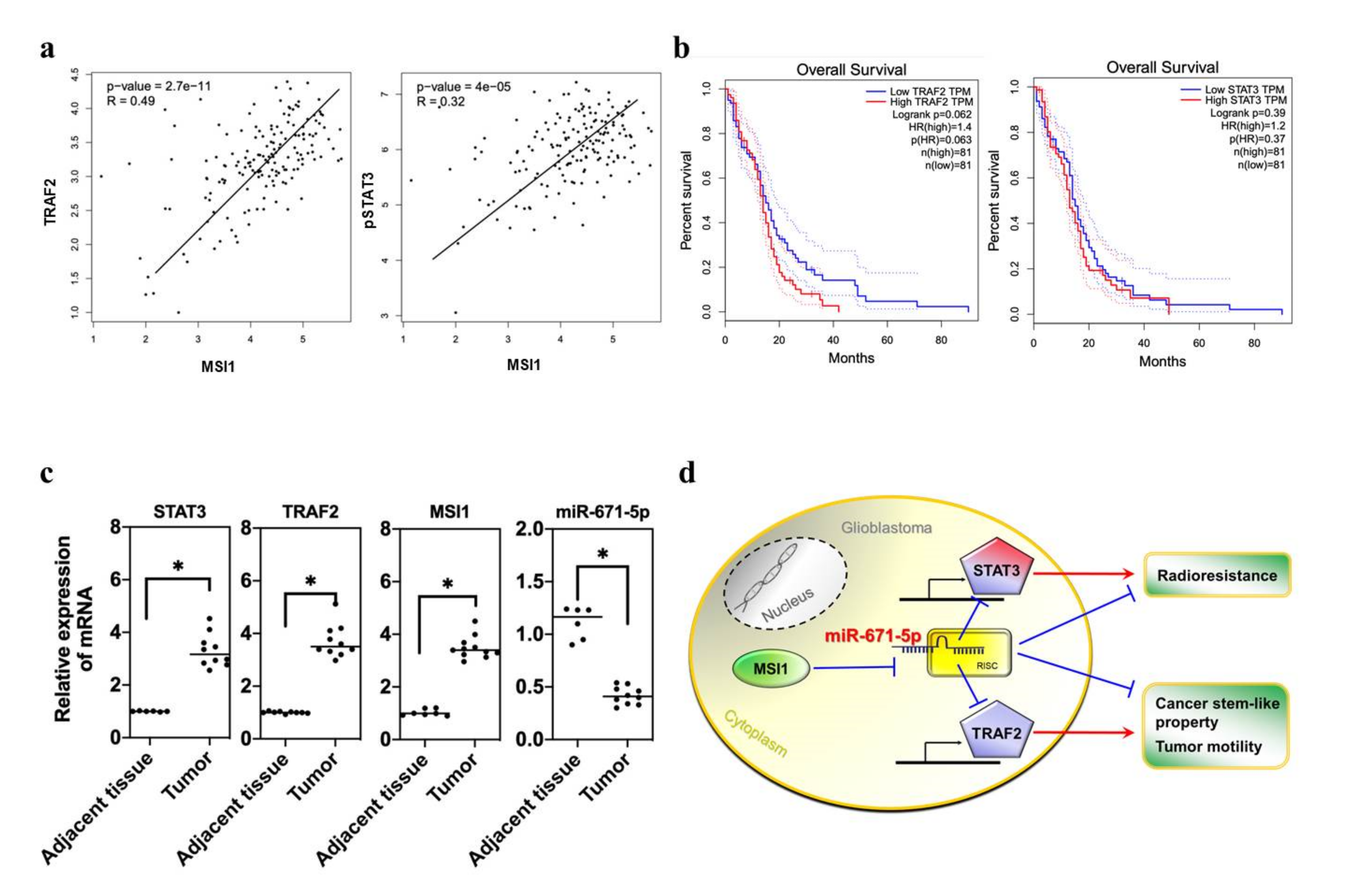 Biomedicines 10 00021 g006