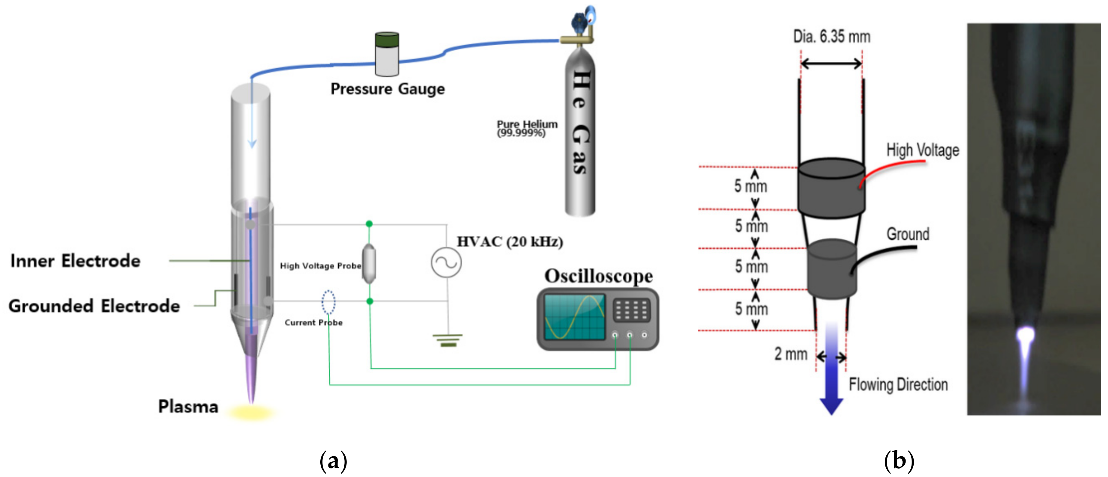 Biomedicines 10 00027 g001