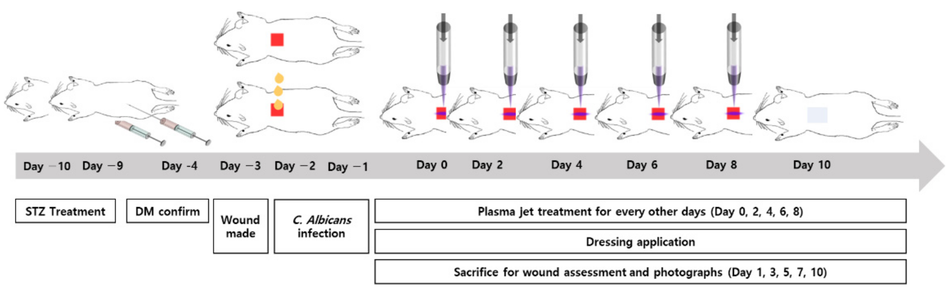 Biomedicines 10 00027 g002