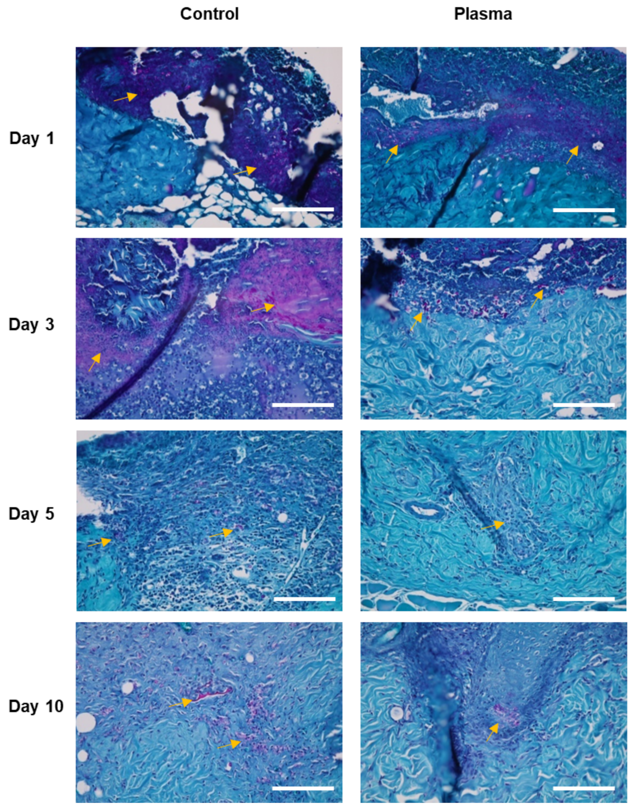 Biomedicines 10 00027 g009