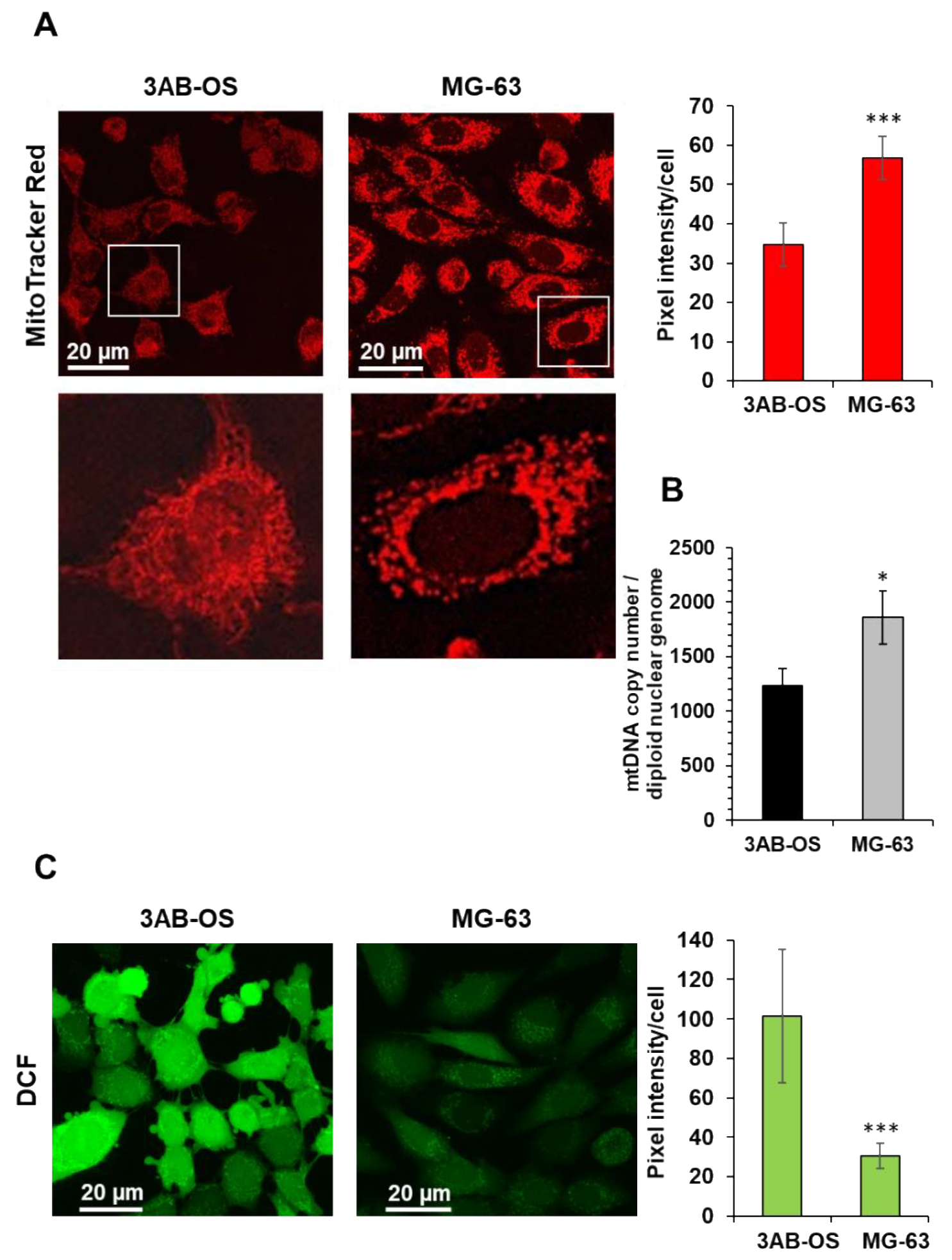Biomedicines 10 00028 g002