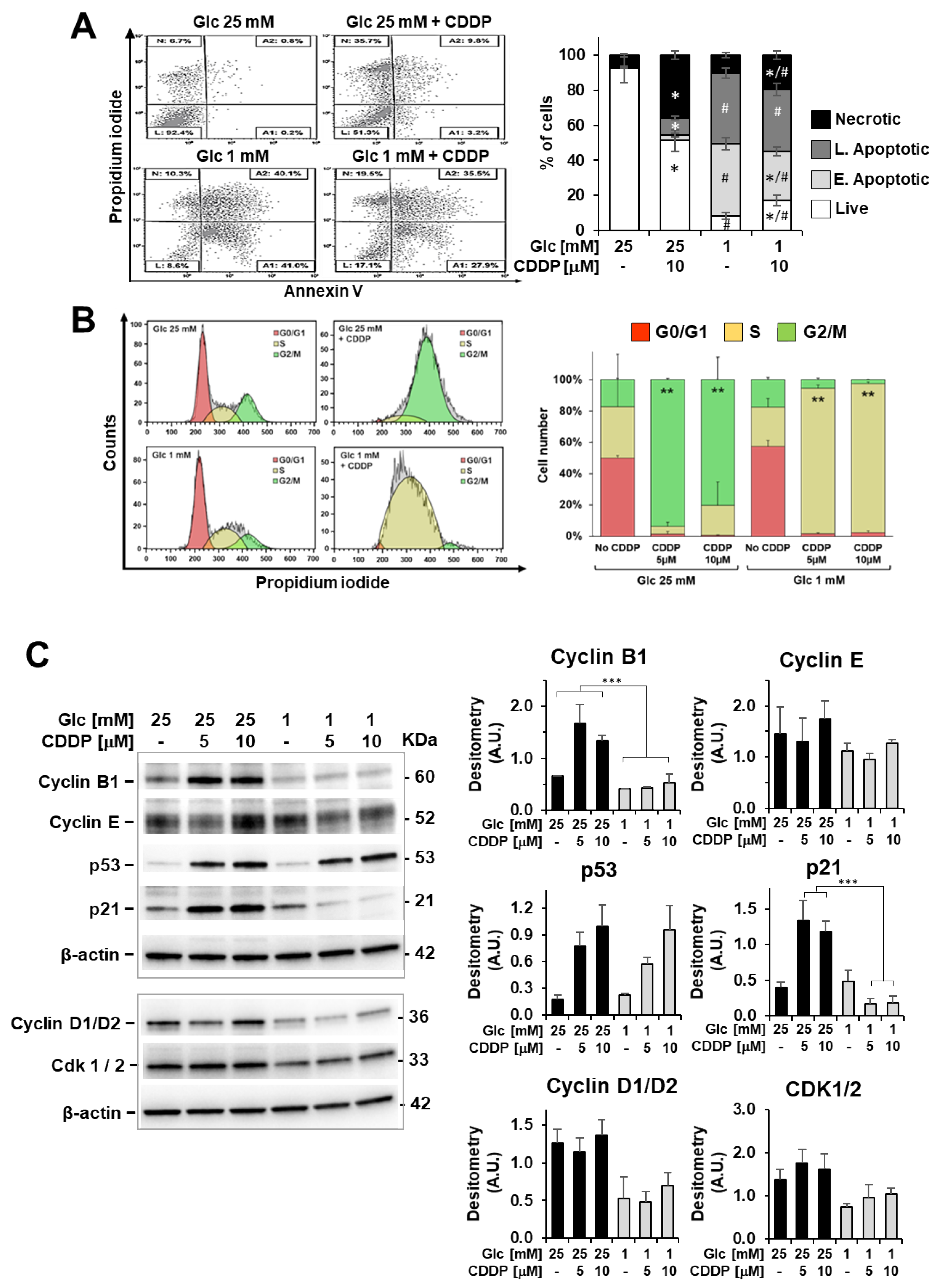Biomedicines 10 00028 g006