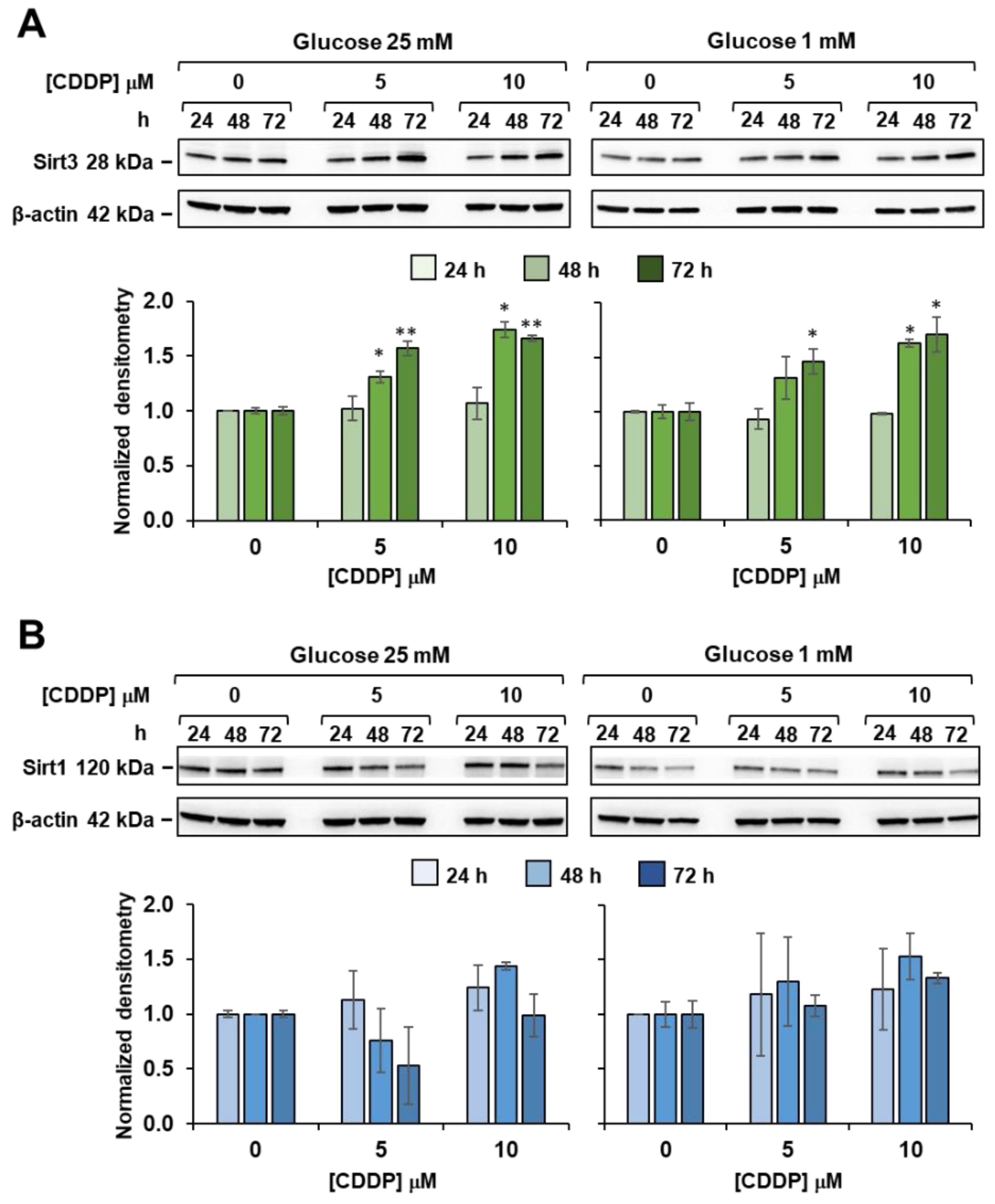 Biomedicines 10 00028 g009