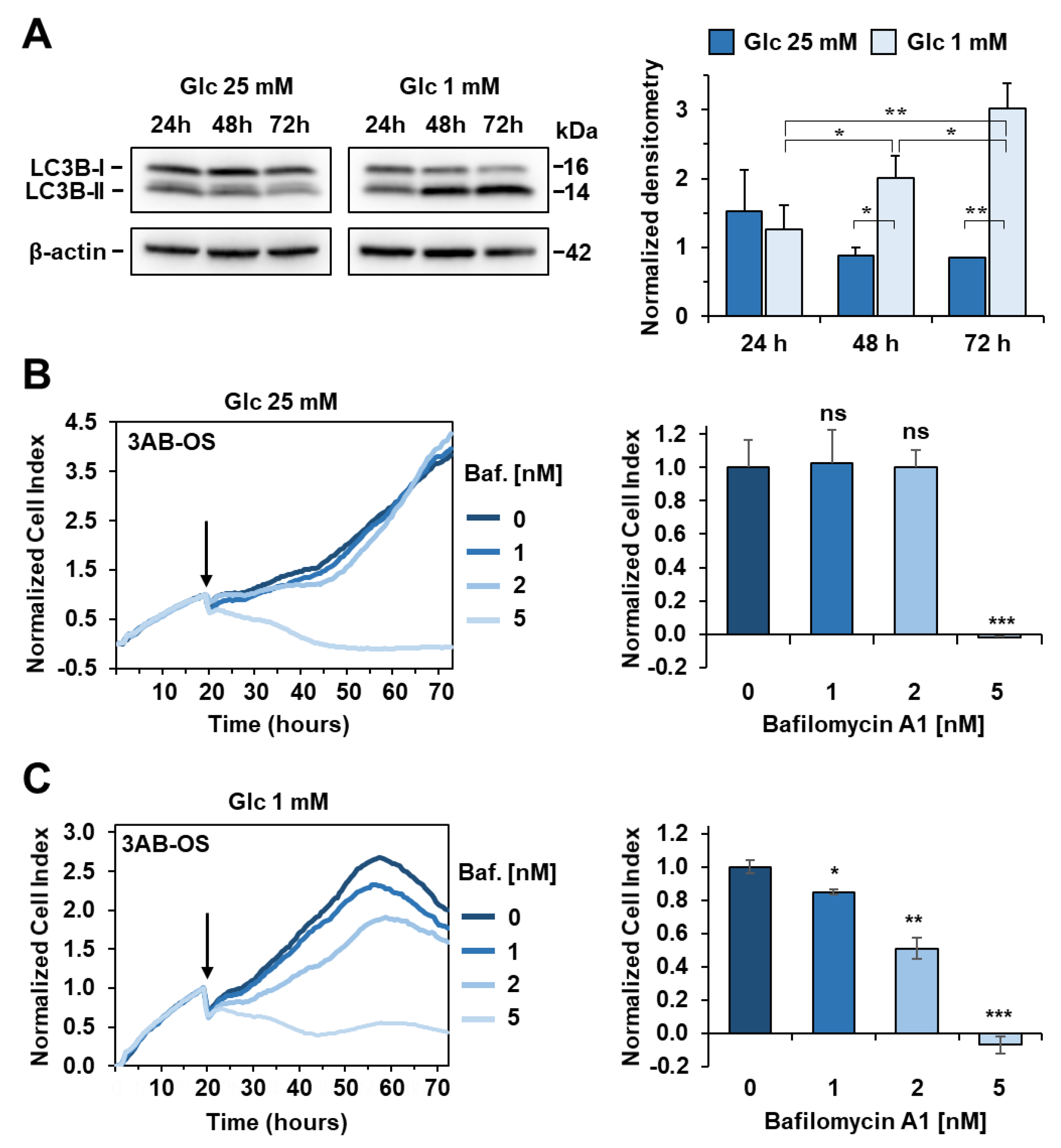 Biomedicines 10 00028 g010