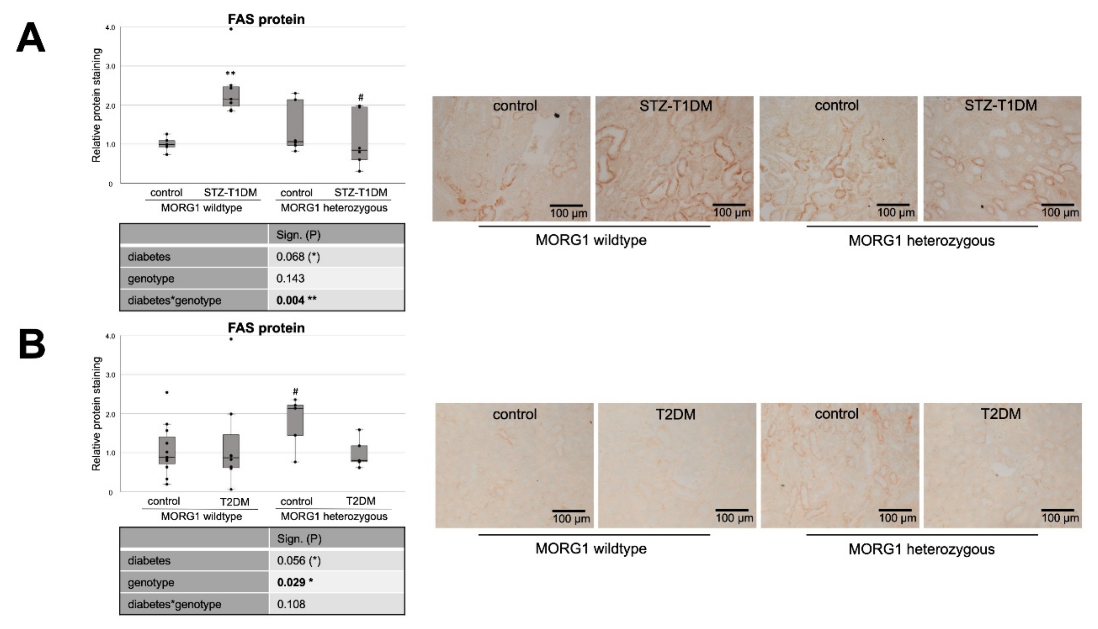 Biomedicines 10 00030 g001