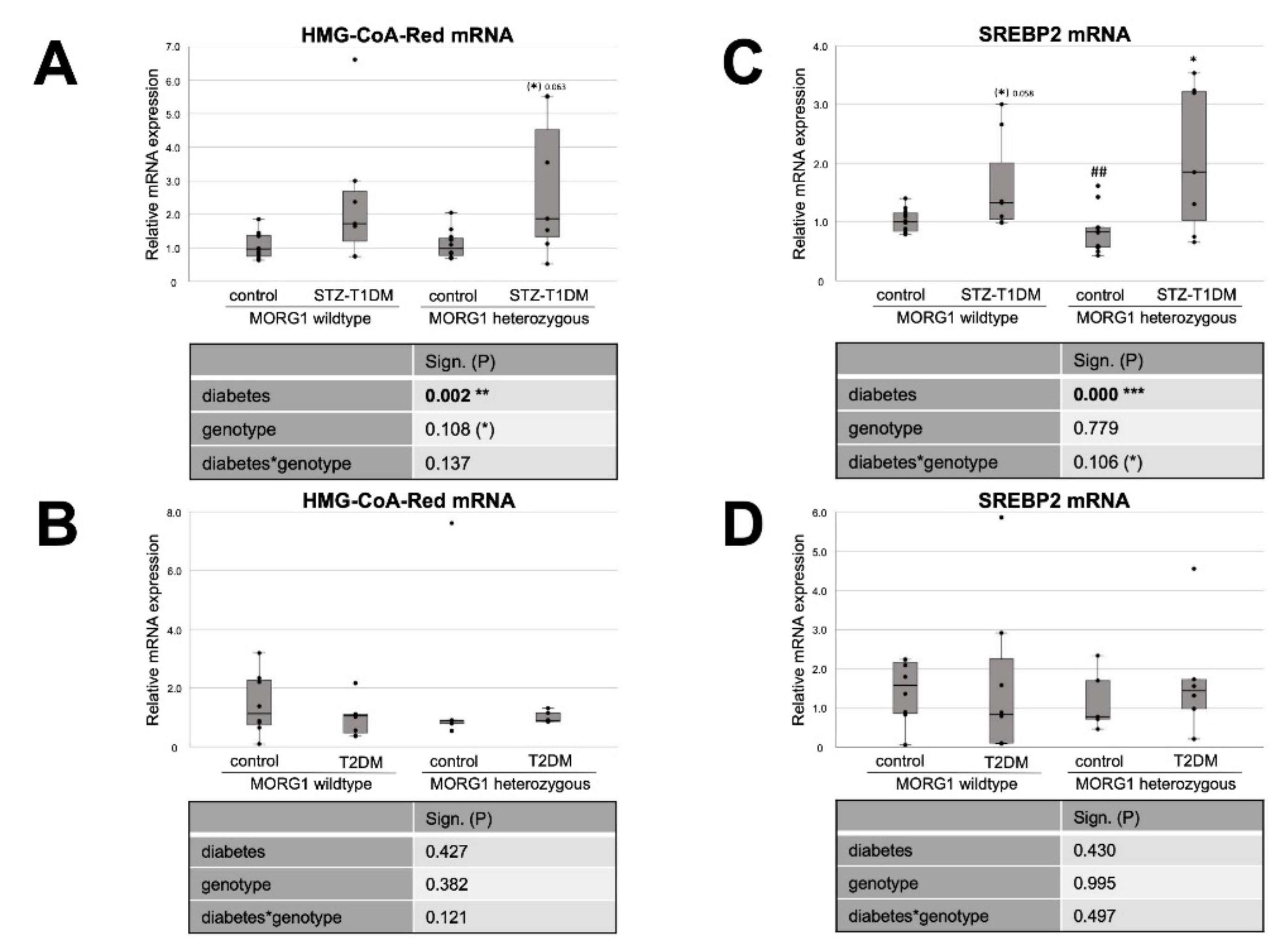 Biomedicines 10 00030 g002