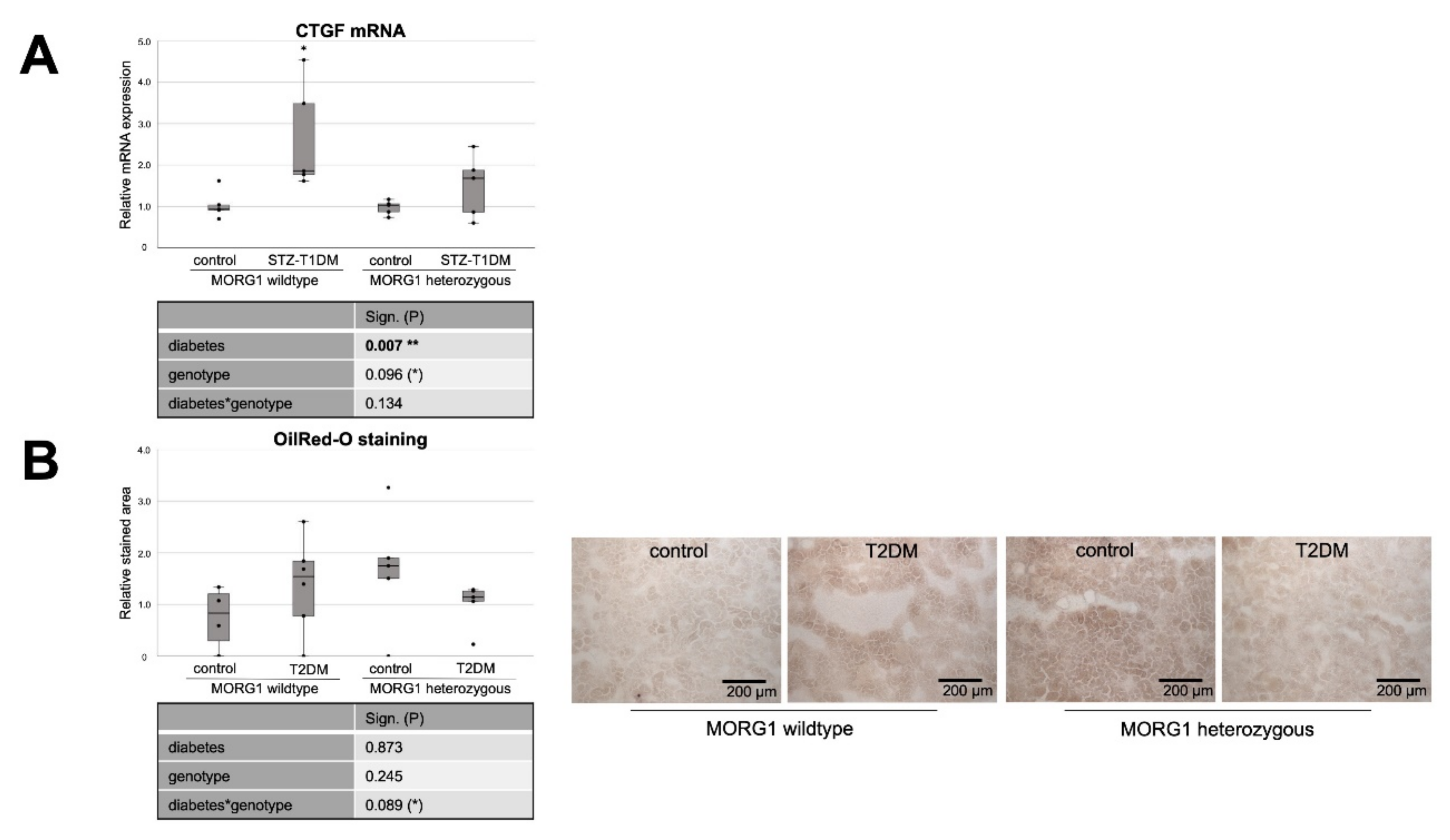 Biomedicines 10 00030 g006a