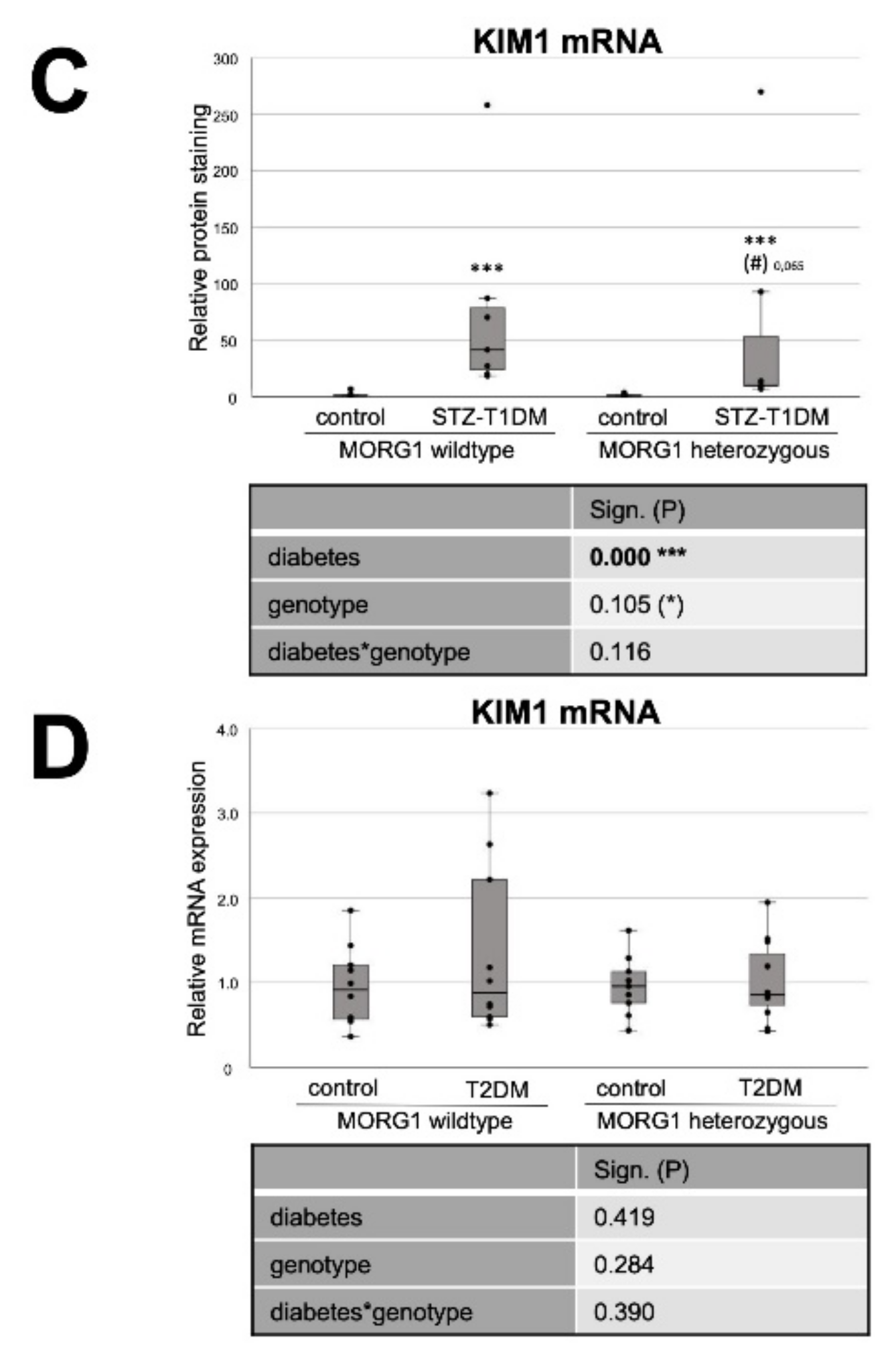 Biomedicines 10 00030 g006b
