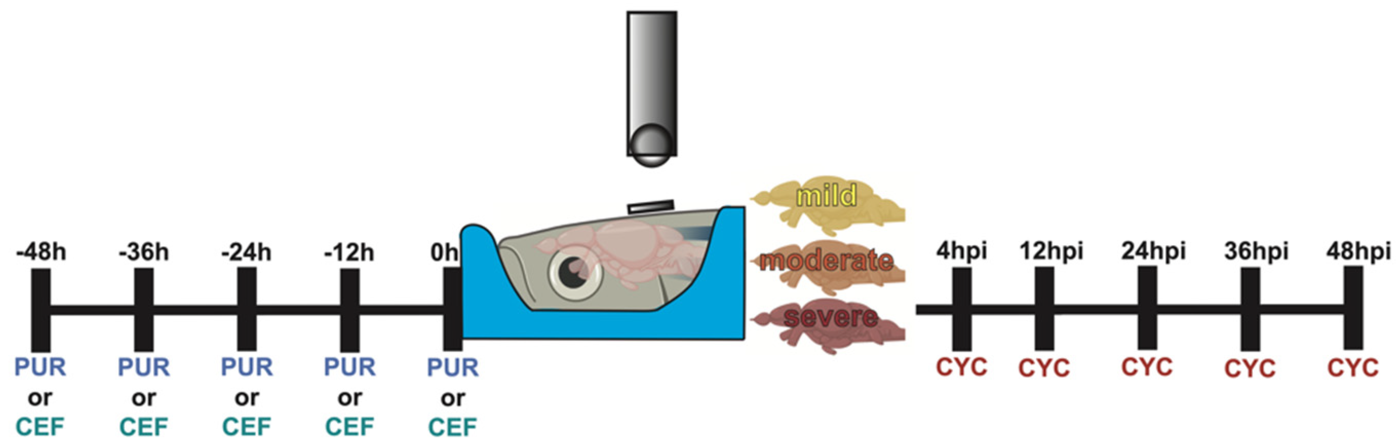 Biomedicines 10 00032 g001
