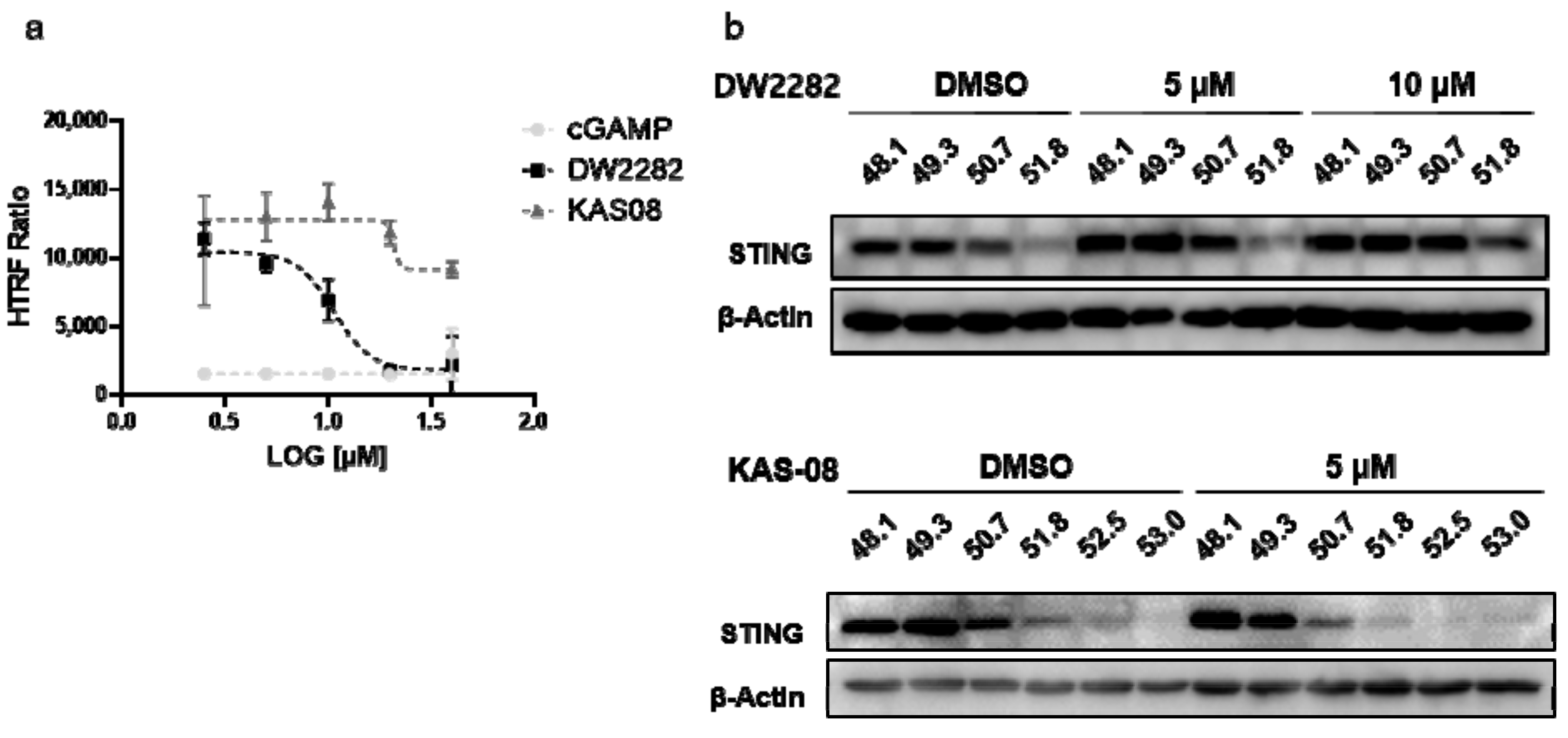 Biomedicines 10 00033 g004 Biomedicines 10 00033 g004