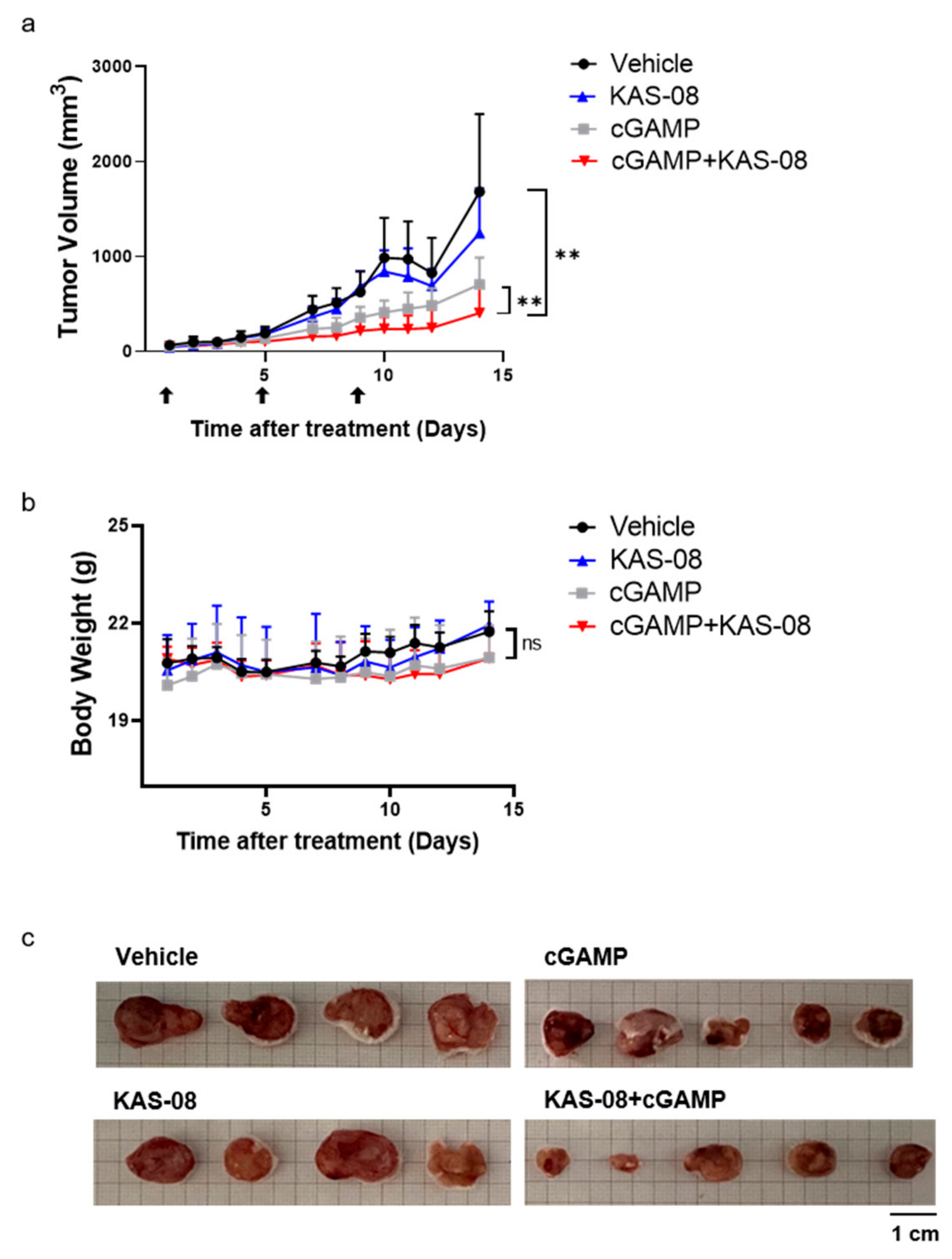 Biomedicines 10 00033 g007 Biomedicines 10 00033 g007