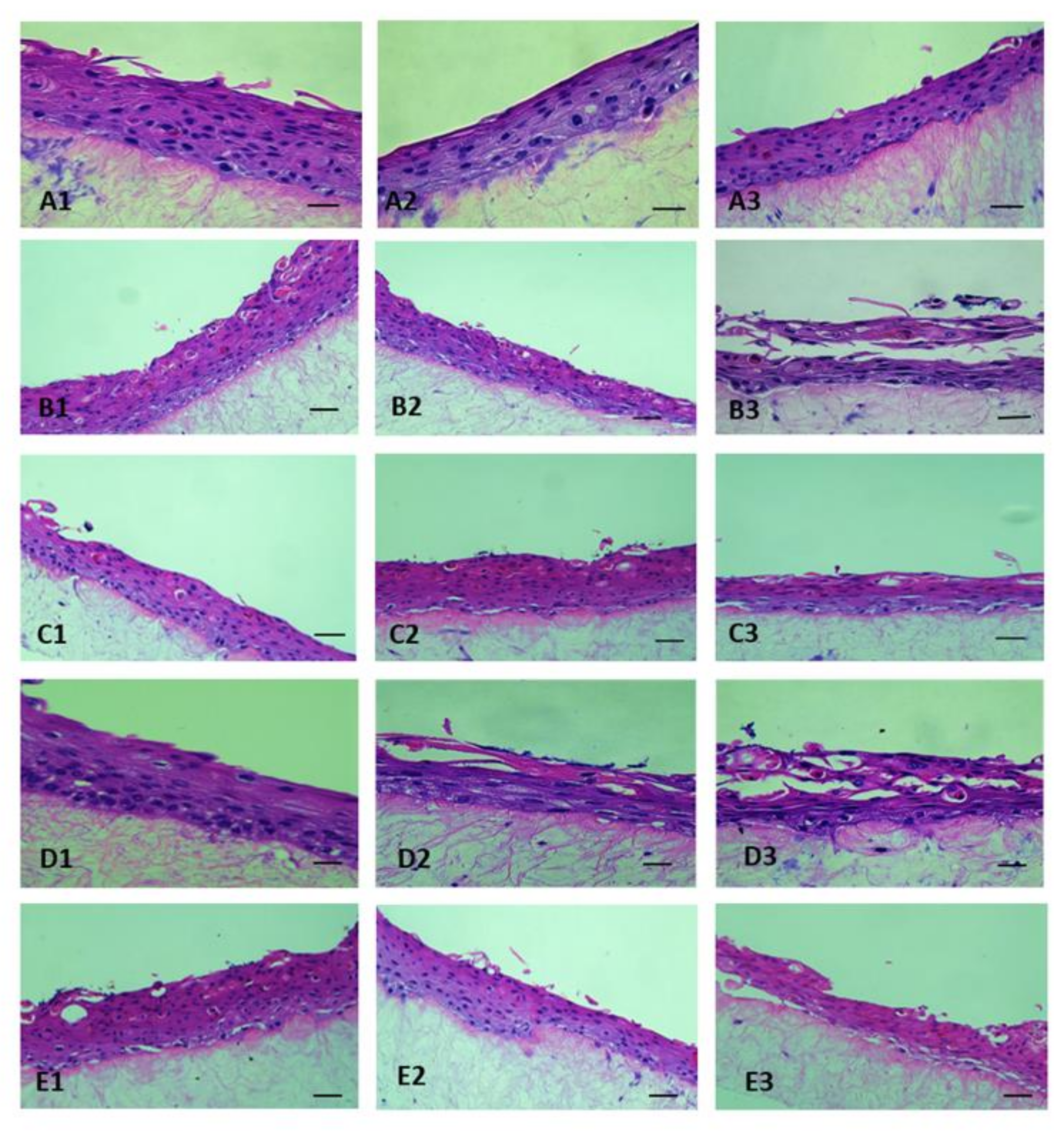 Biomedicines 10 00035 g001 Biomedicines 10 00035 g001