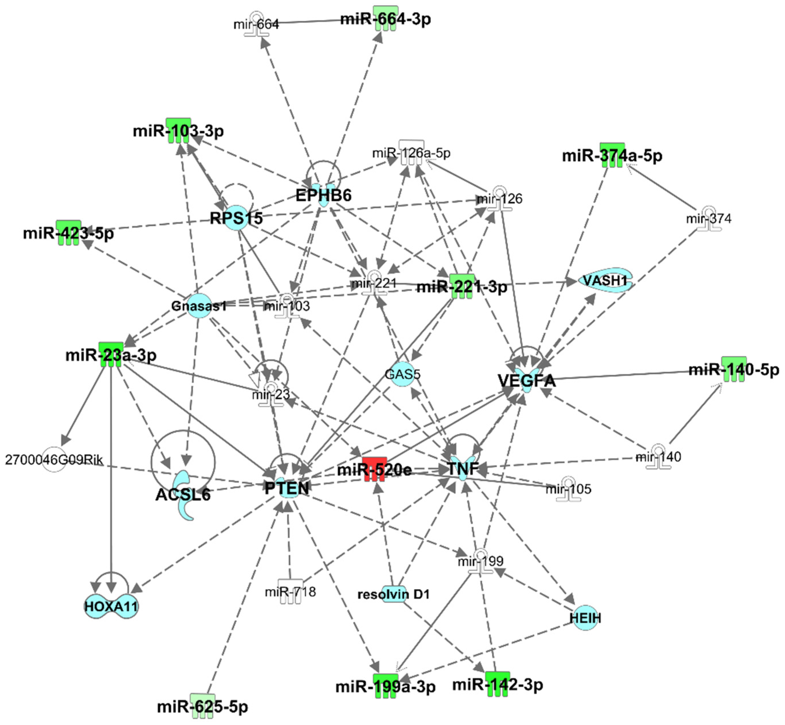 Biomedicines 10 00036 g001