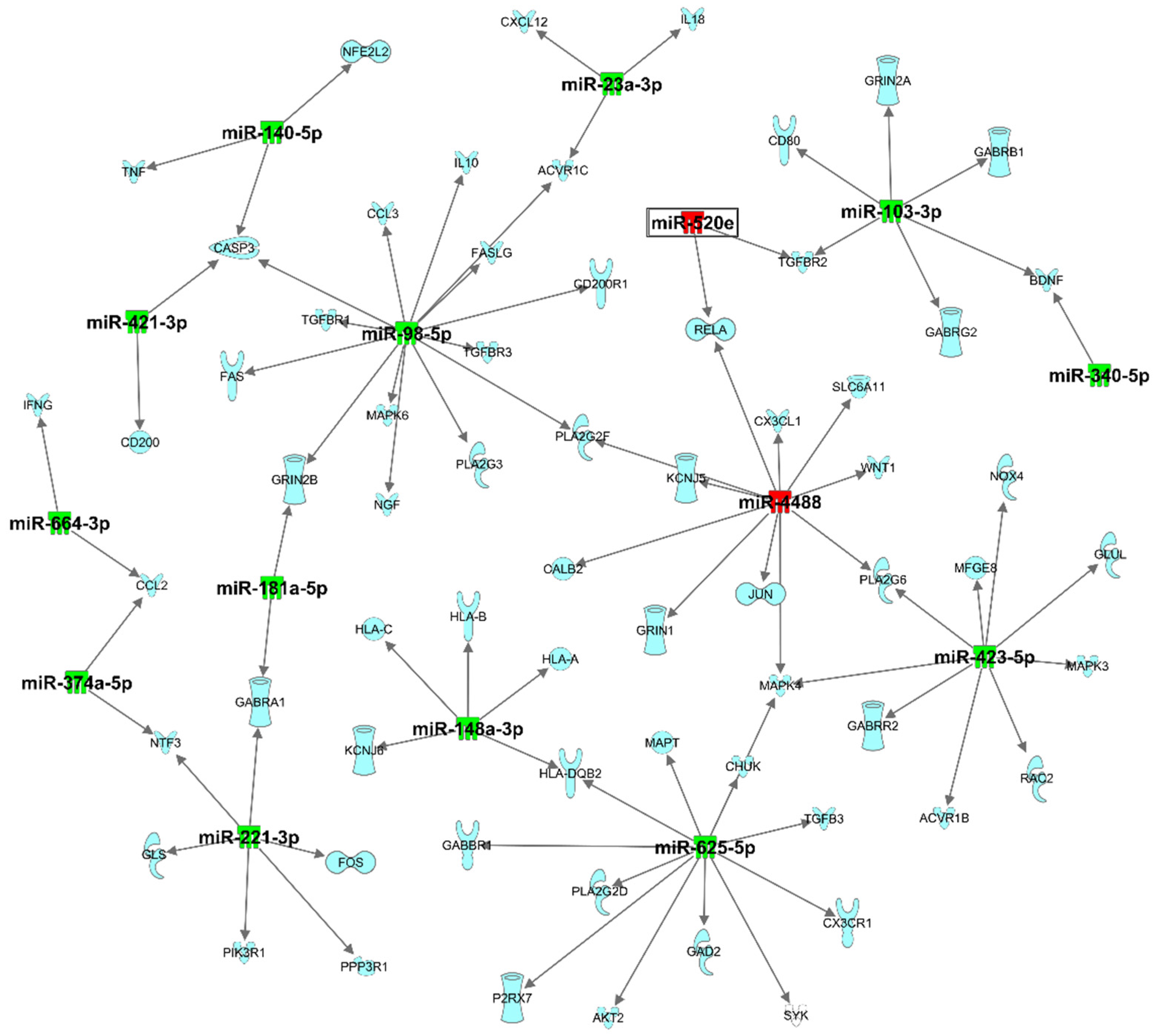 Biomedicines 10 00036 g002