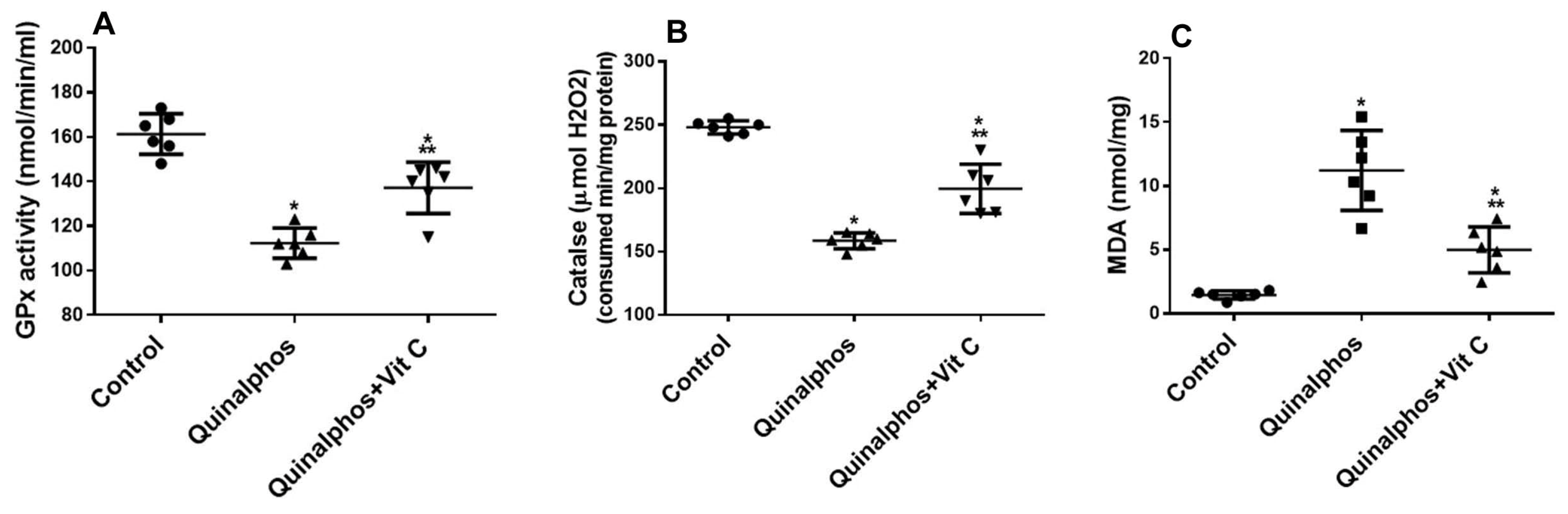 Biomedicines 10 00039 g001