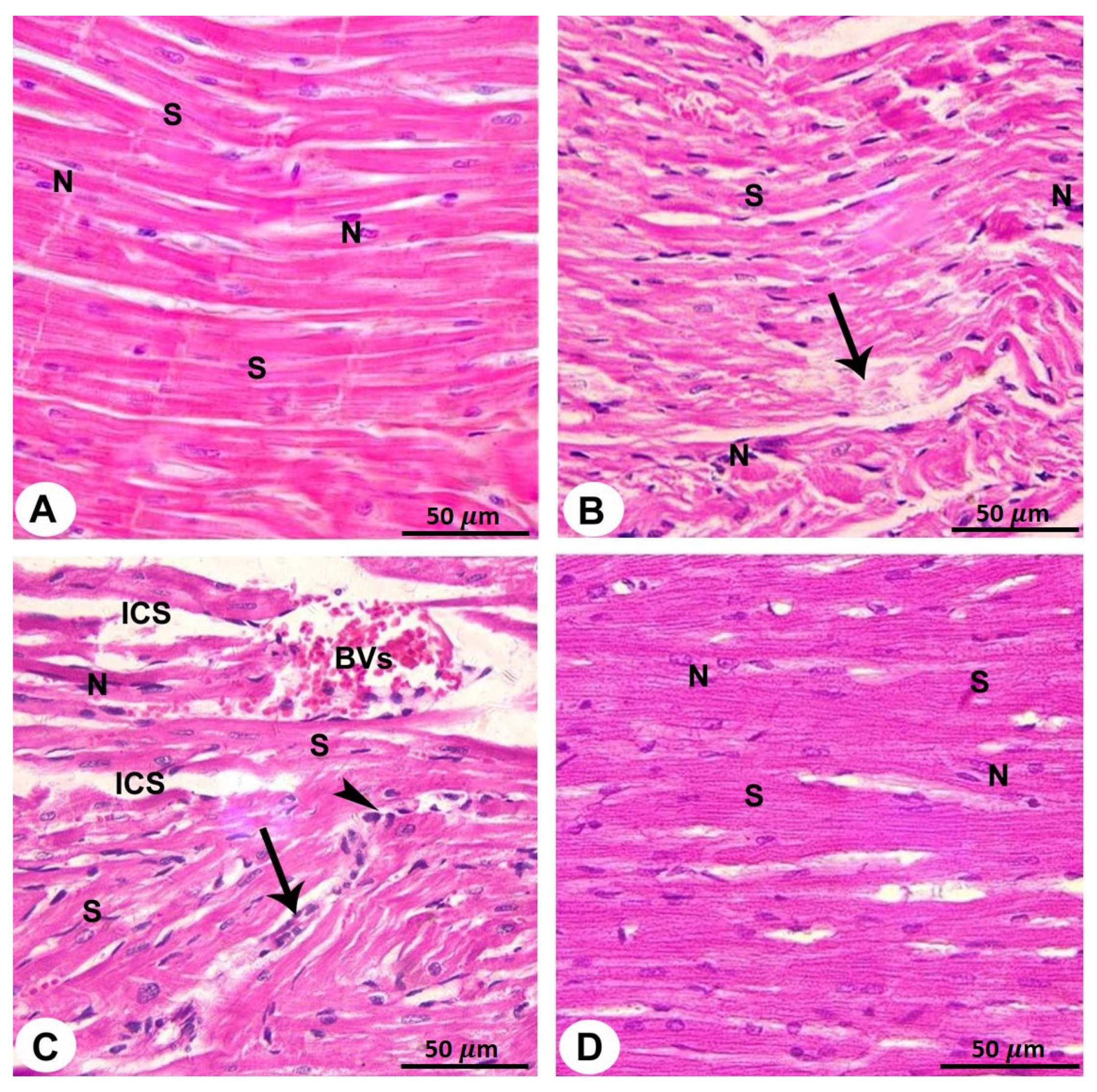 Biomedicines 10 00039 g003