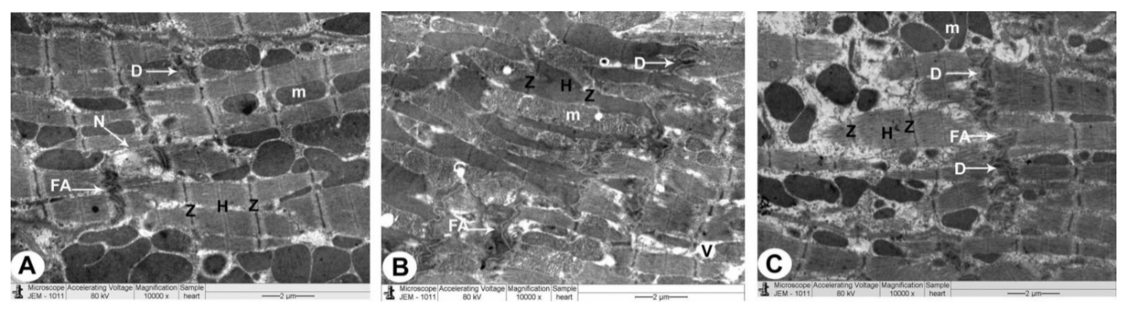Biomedicines 10 00039 g005