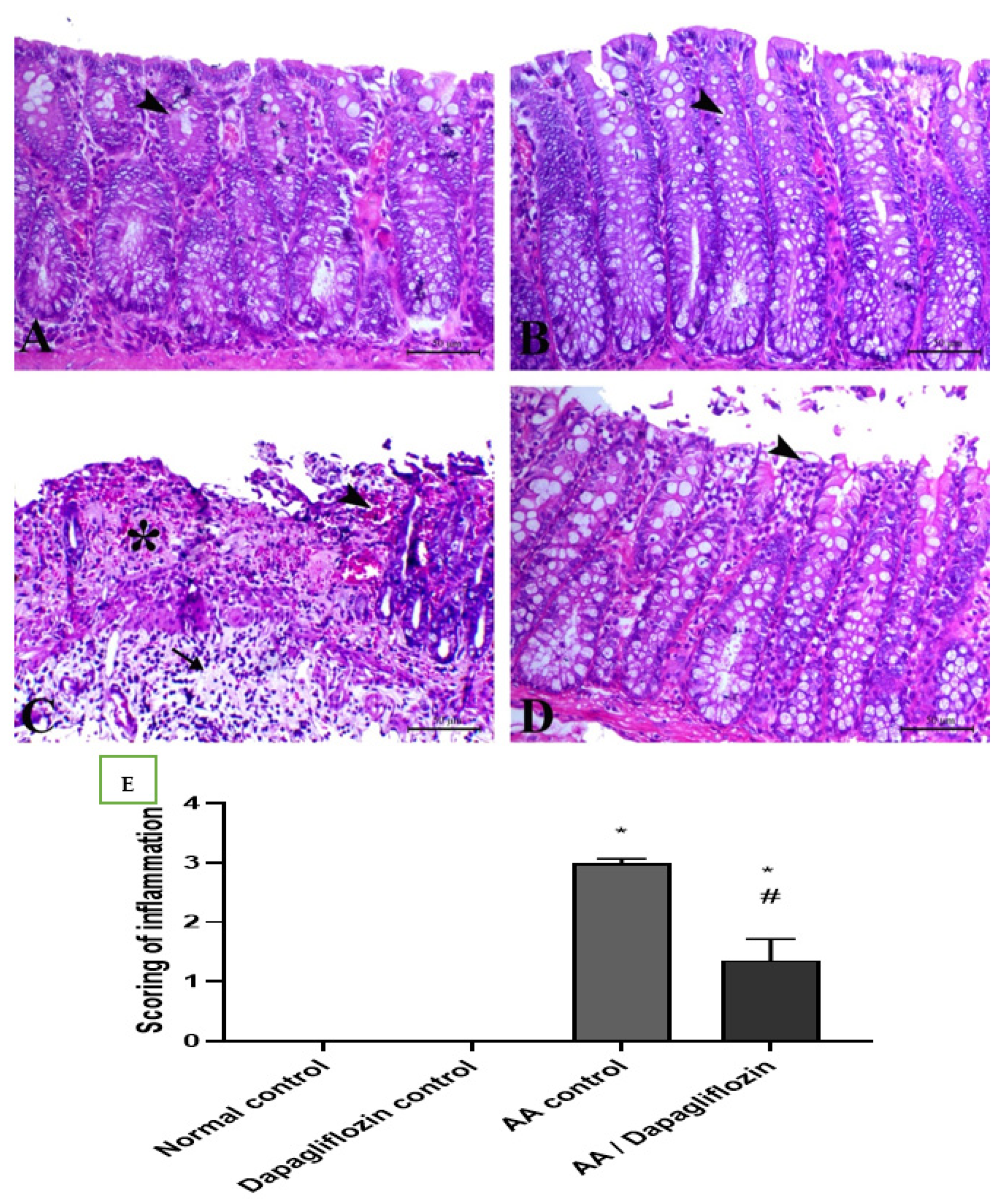Biomedicines 10 00040 g006 Biomedicines 10 00040 g006