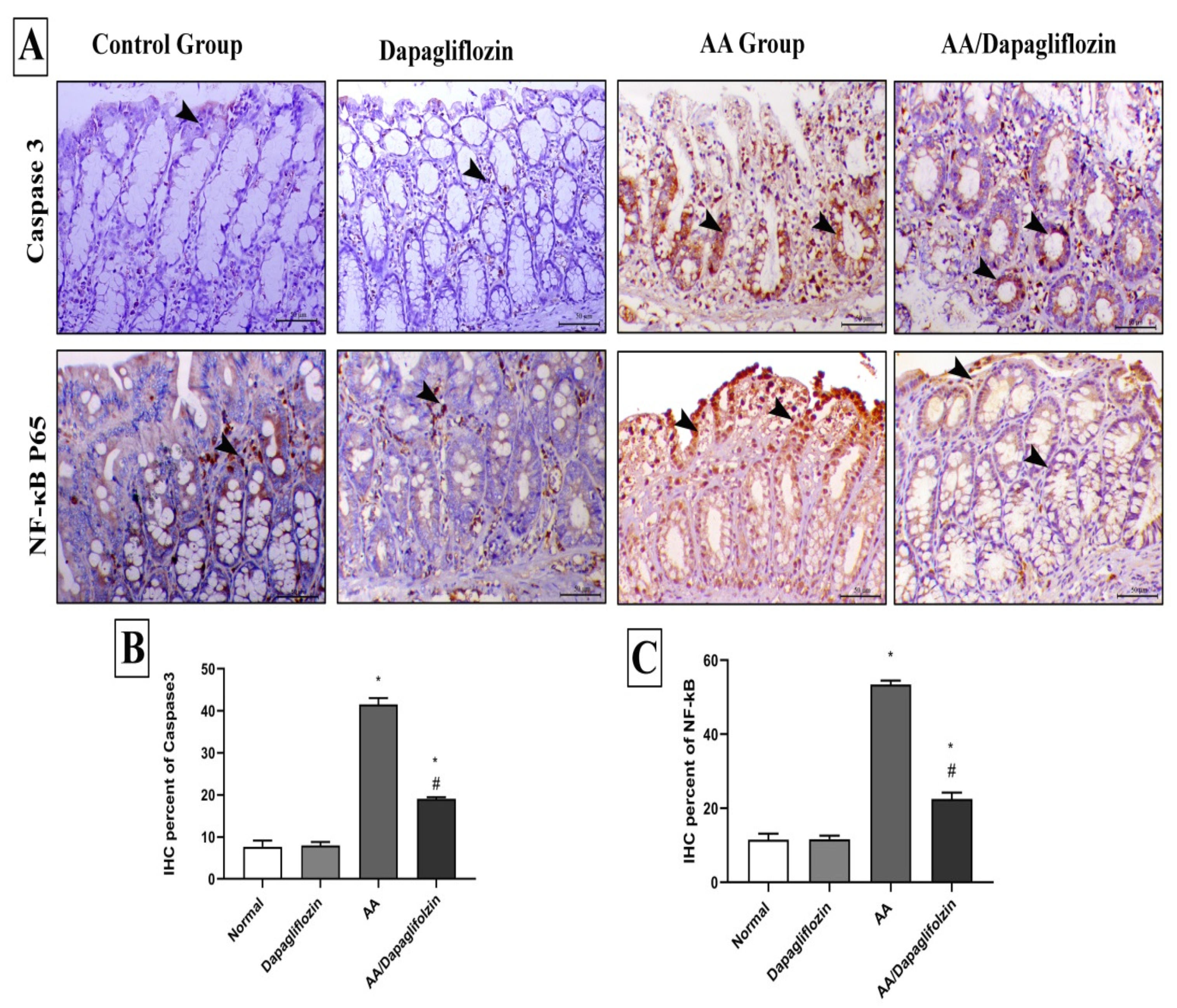 Biomedicines 10 00040 g007 Biomedicines 10 00040 g007