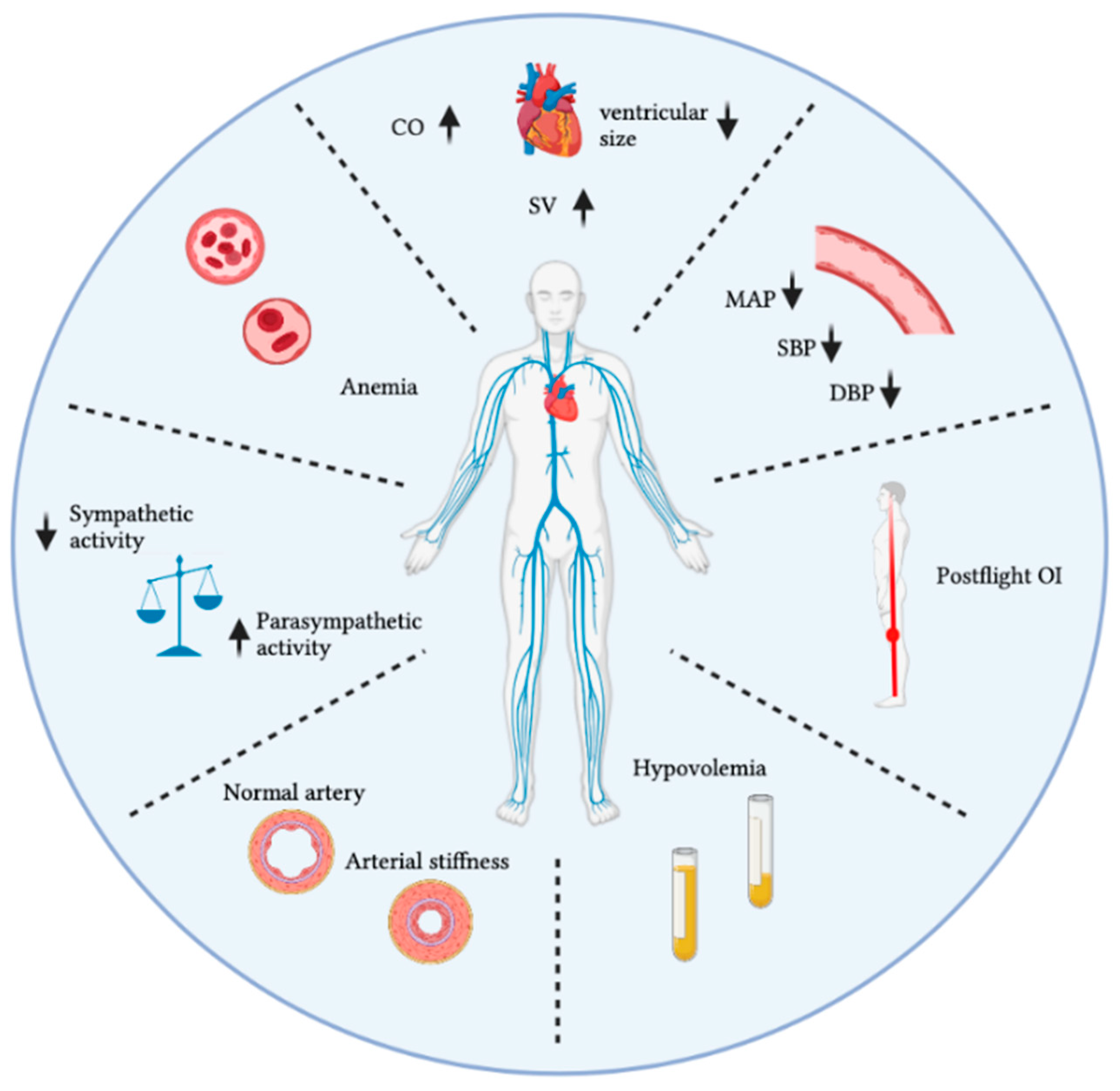 Biomedicines 10 00059 g002 Biomedicines 10 00059 g002
