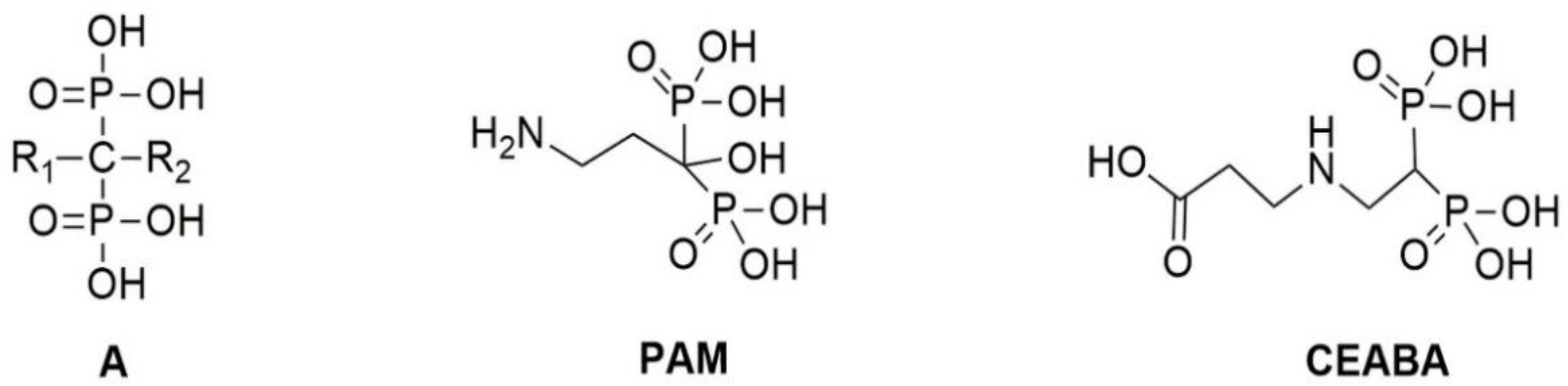 Biomedicines 10 00065 g001 Biomedicines 10 00065 g001
