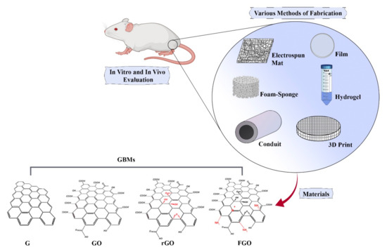 Biomedicines 10 00073 g003