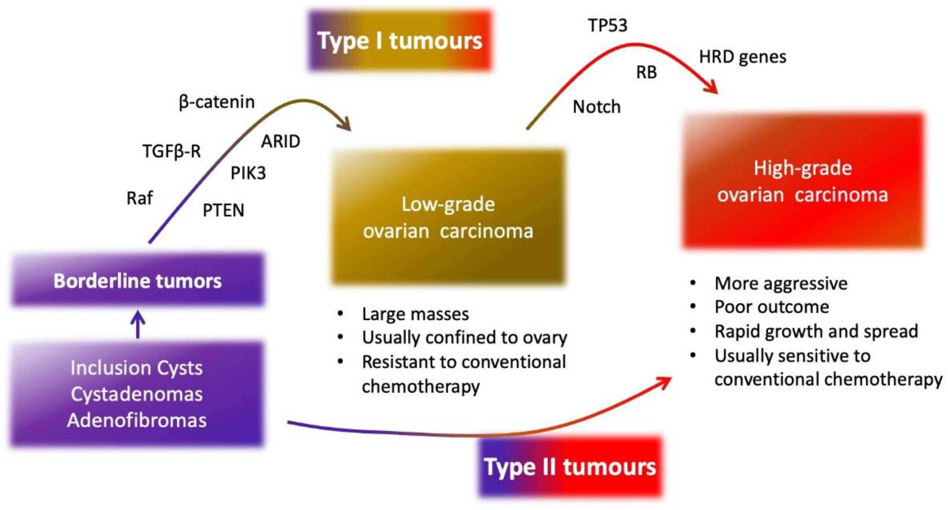 Biomedicines 10 00077 g001