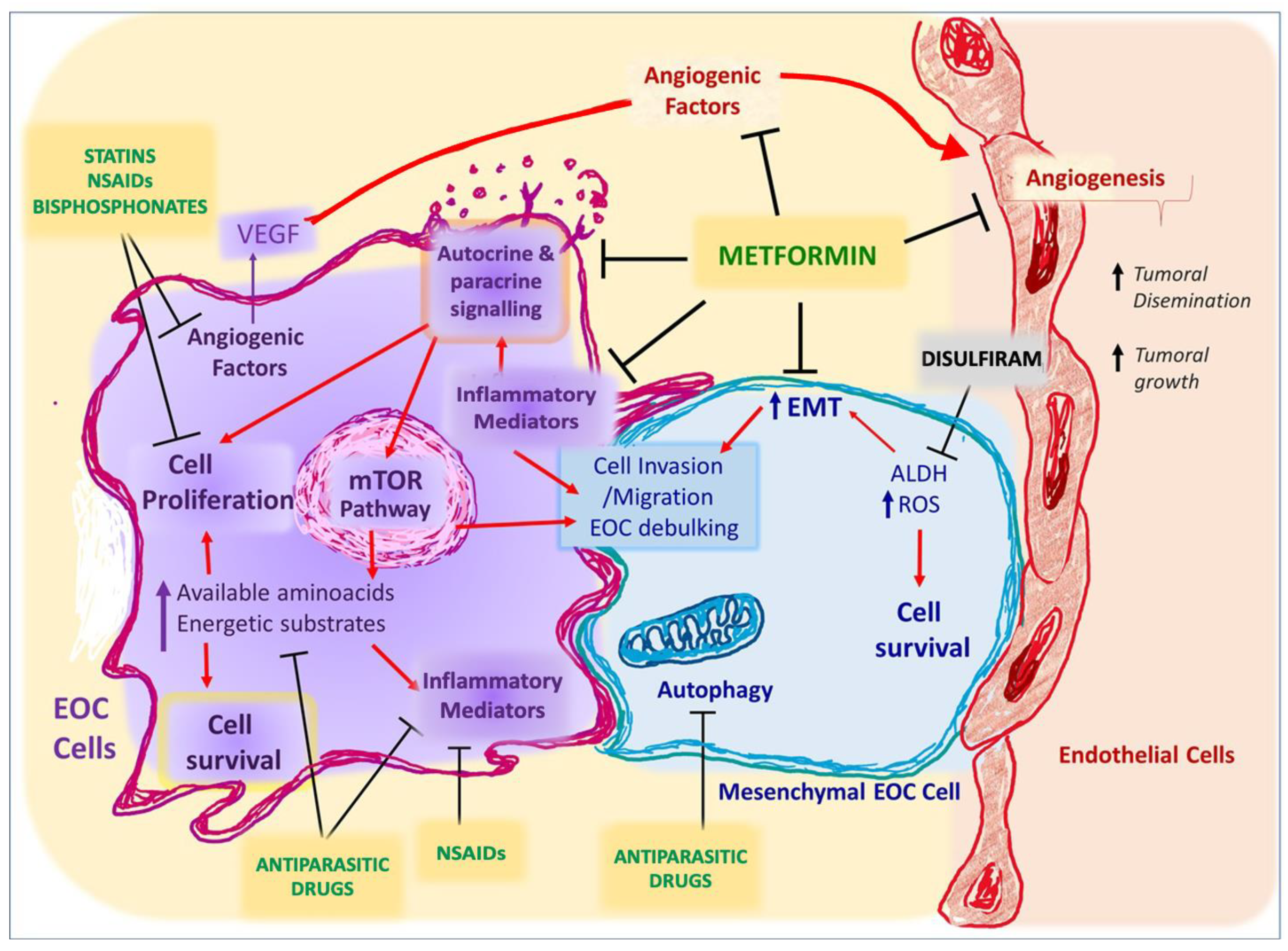 Biomedicines 10 00077 g003