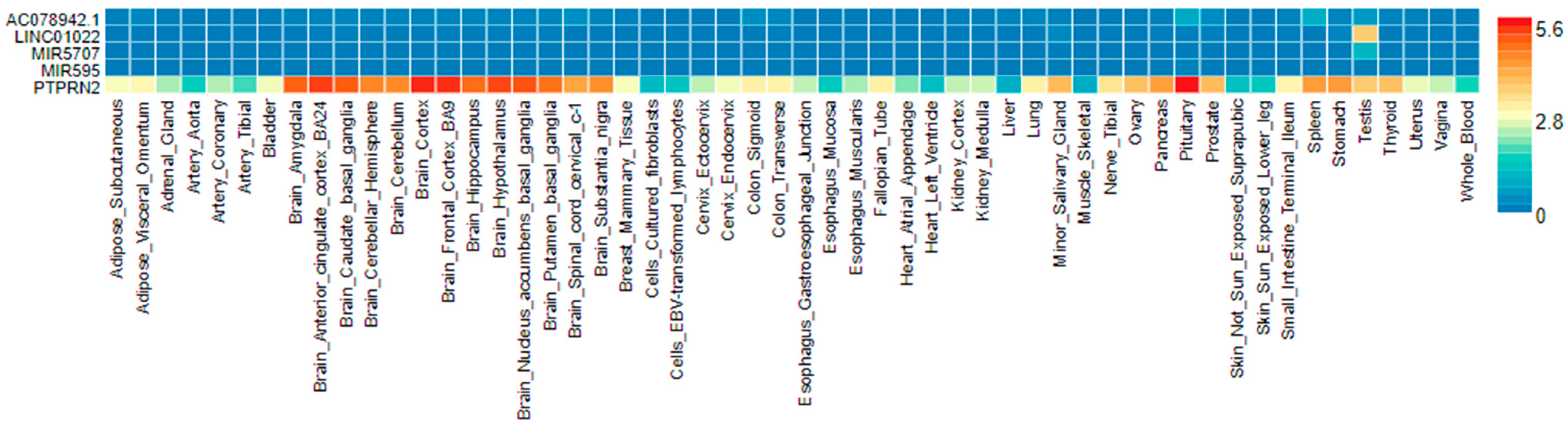 Biomedicines 10 00079 g004