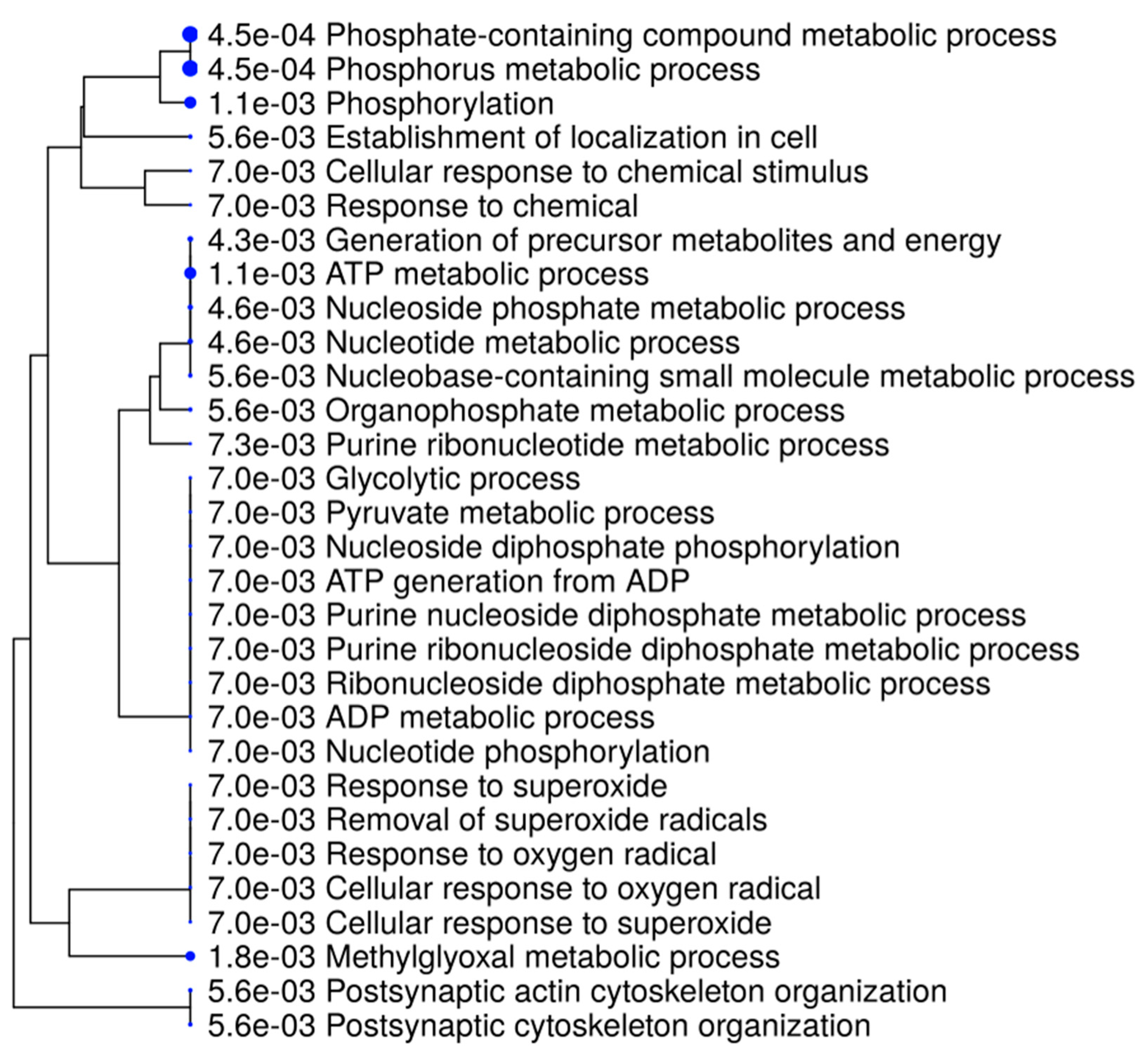 Biomedicines 10 00080 g003 Biomedicines 10 00080 g003
