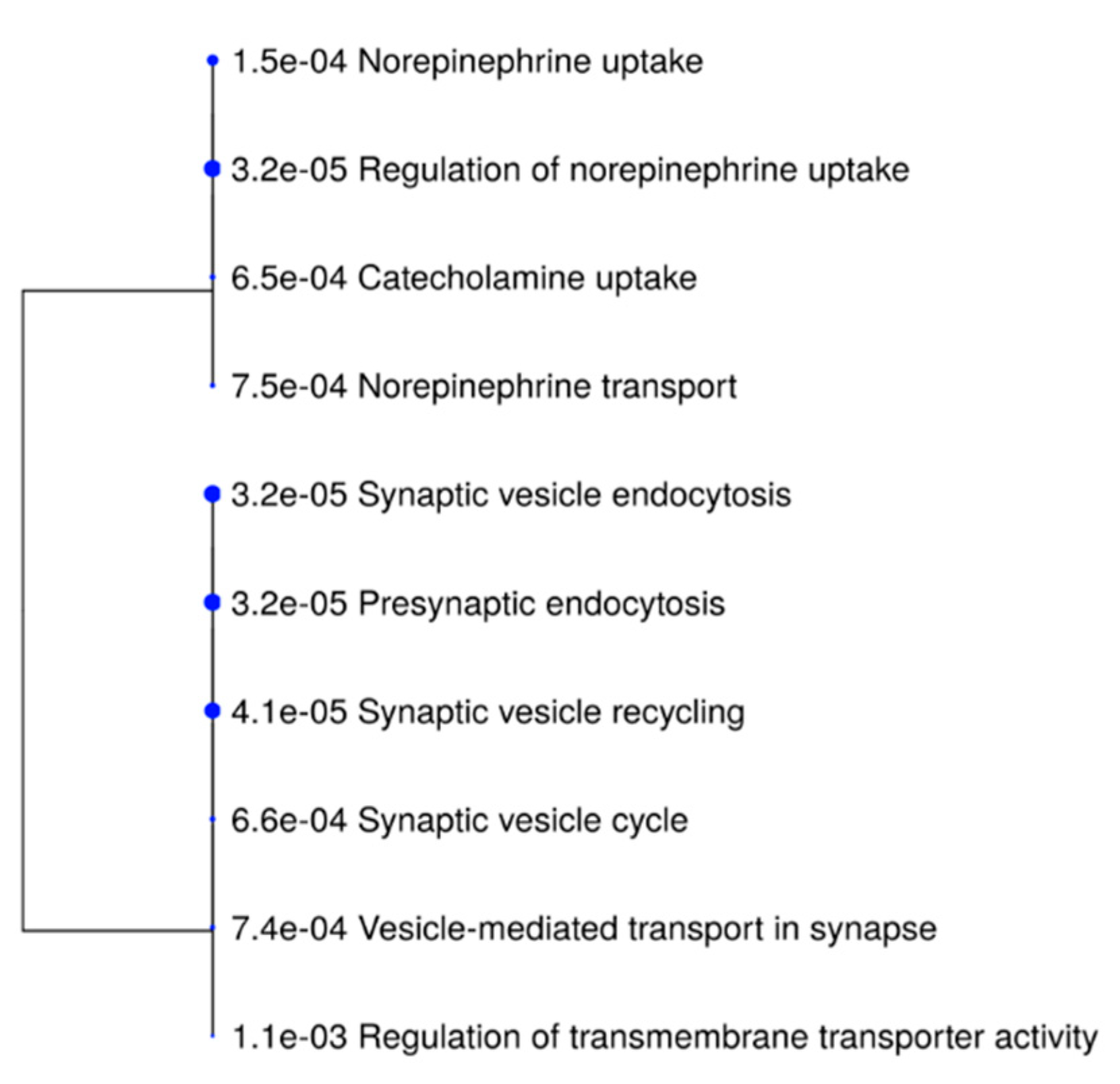 Biomedicines 10 00080 g005 Biomedicines 10 00080 g005