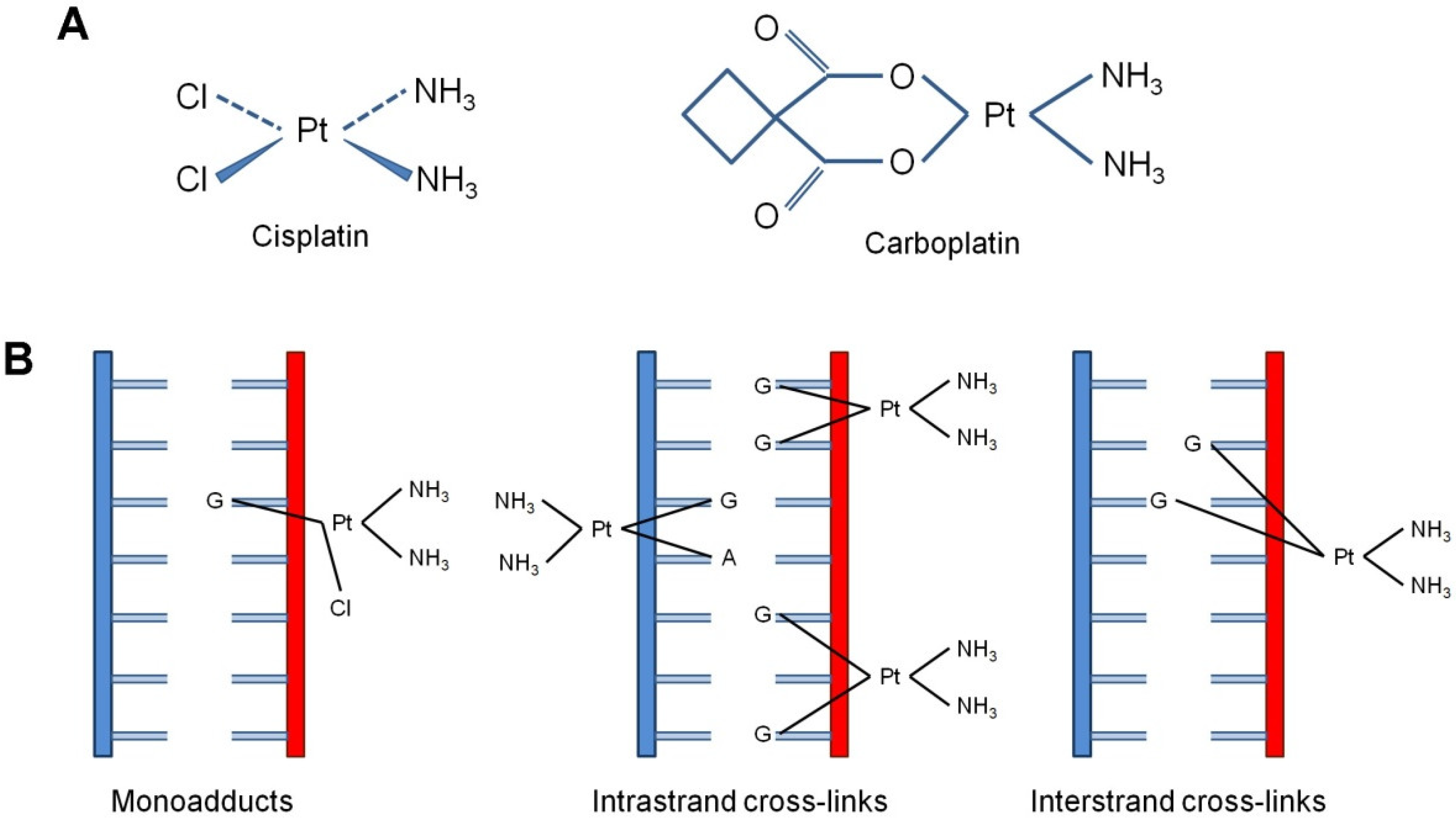 Biomedicines 10 00082 g001