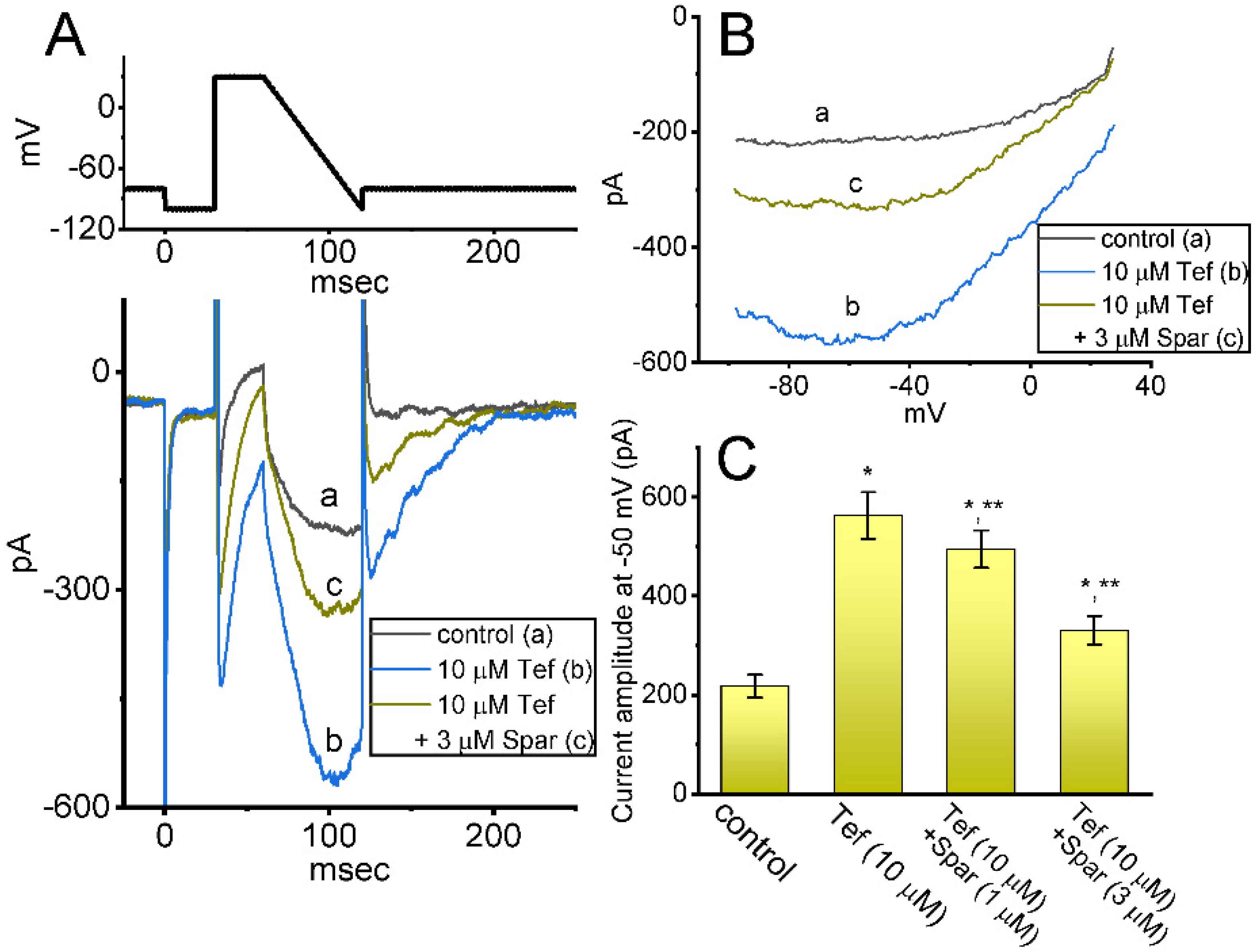 Biomedicines 10 00086 g005