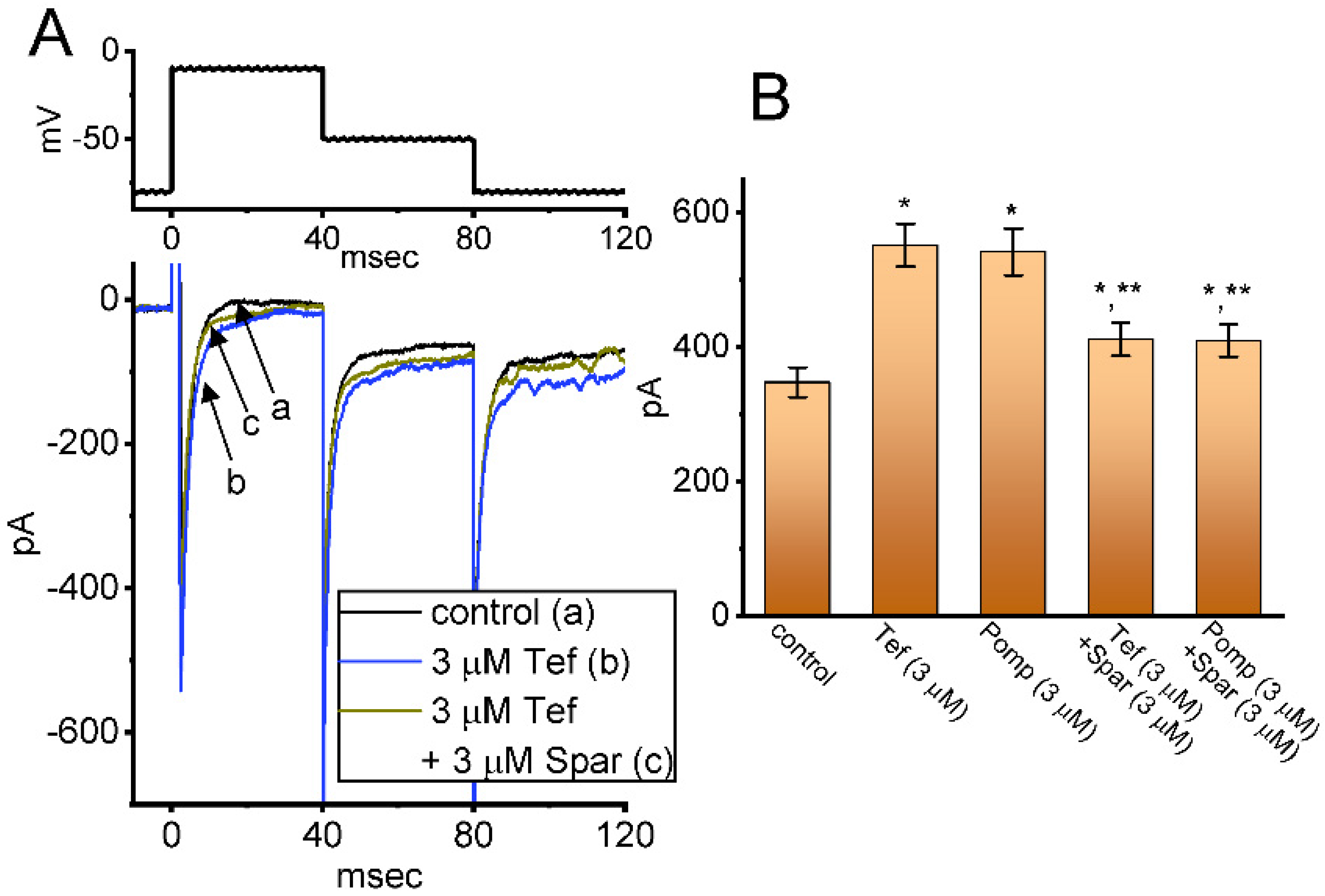 Biomedicines 10 00086 g006