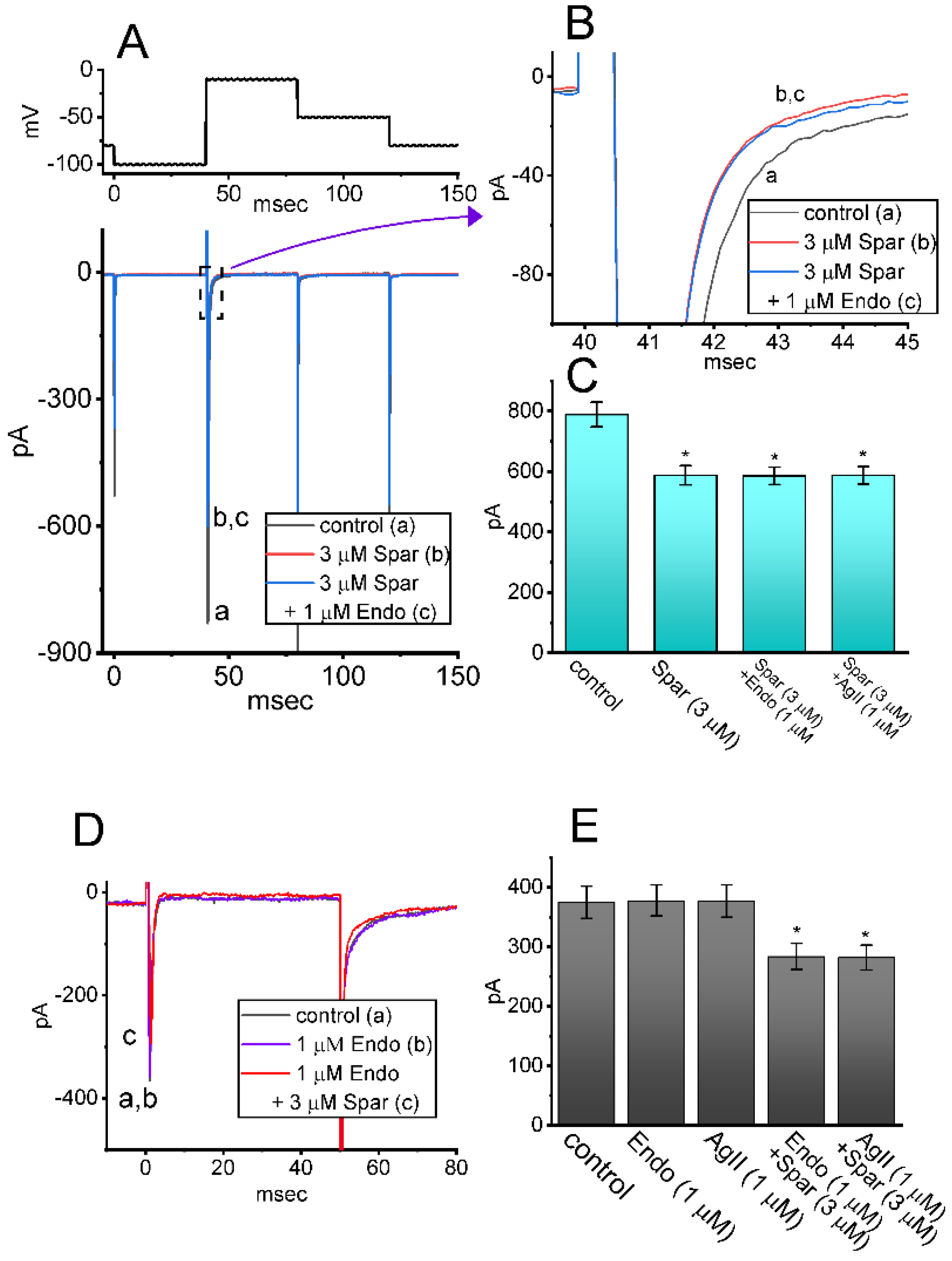 Biomedicines 10 00086 g007