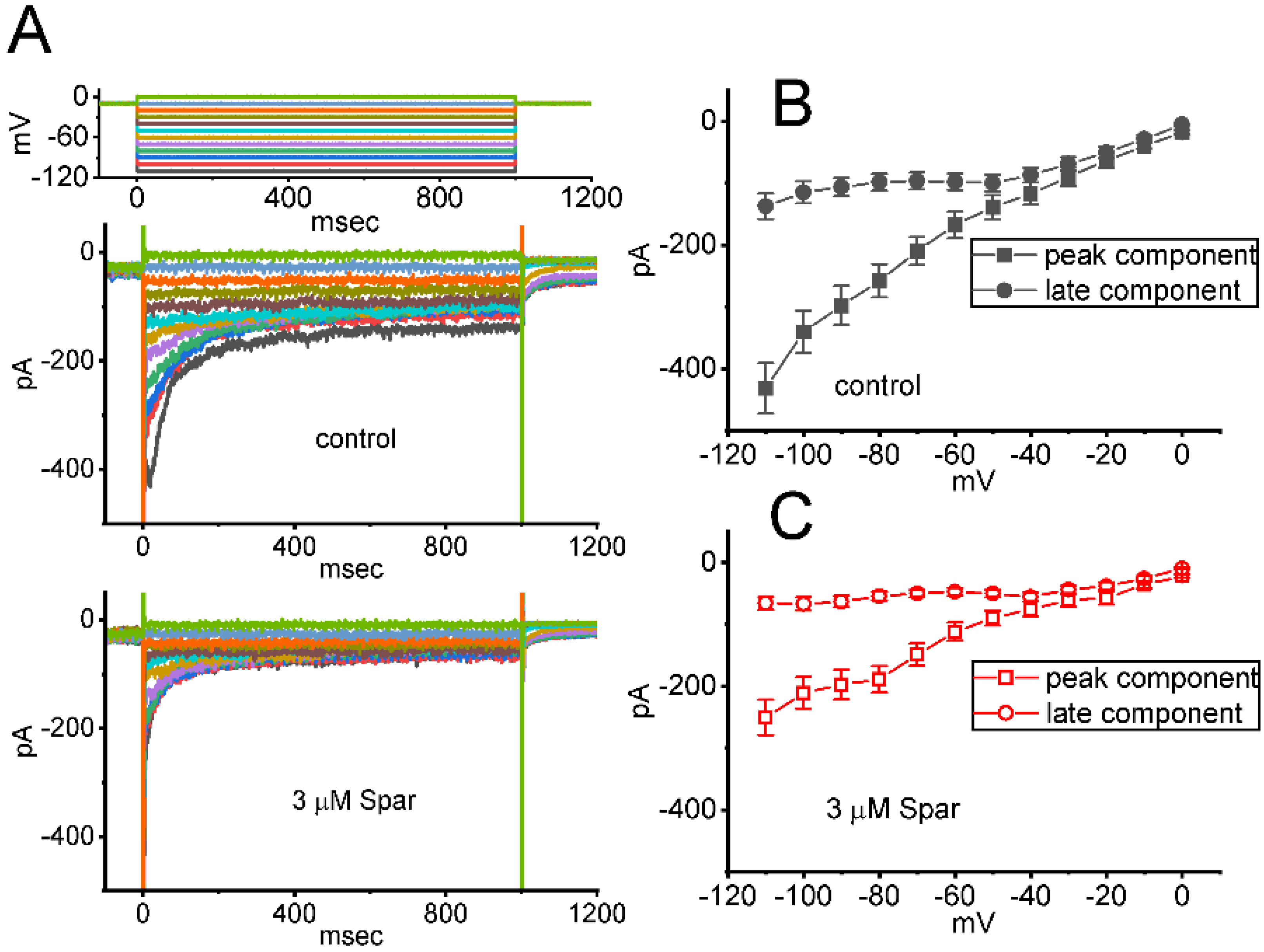 Biomedicines 10 00086 g008