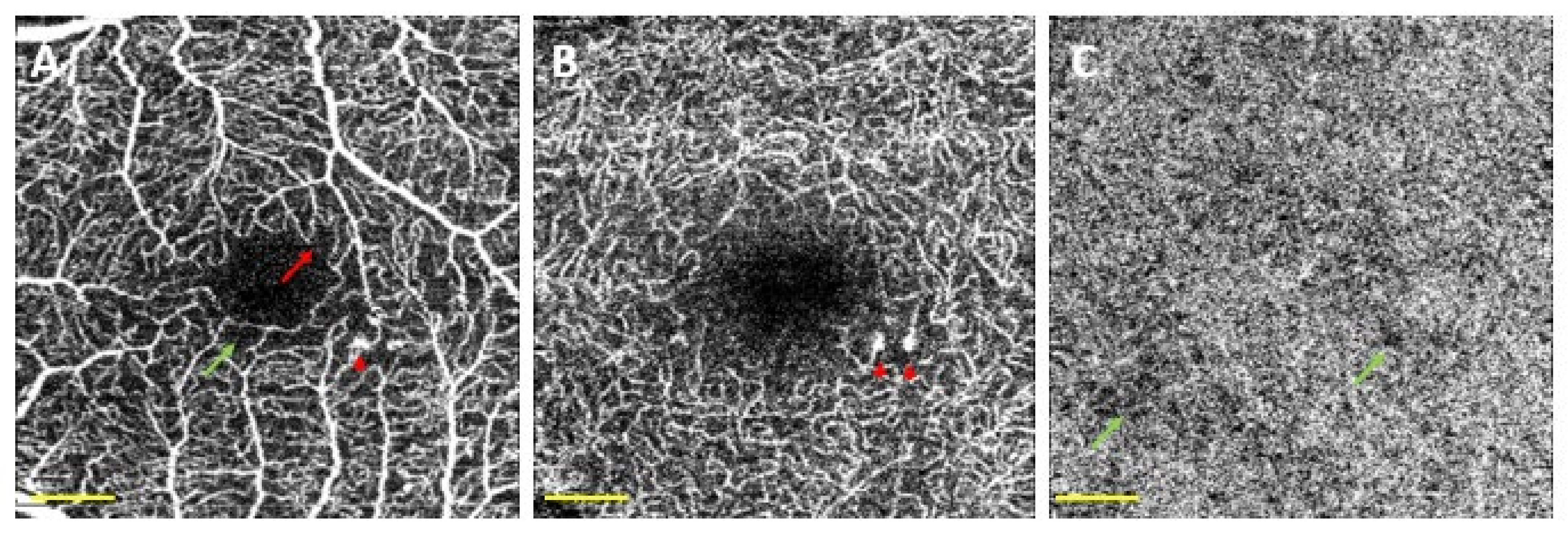 Biomedicines 10 00088 g004