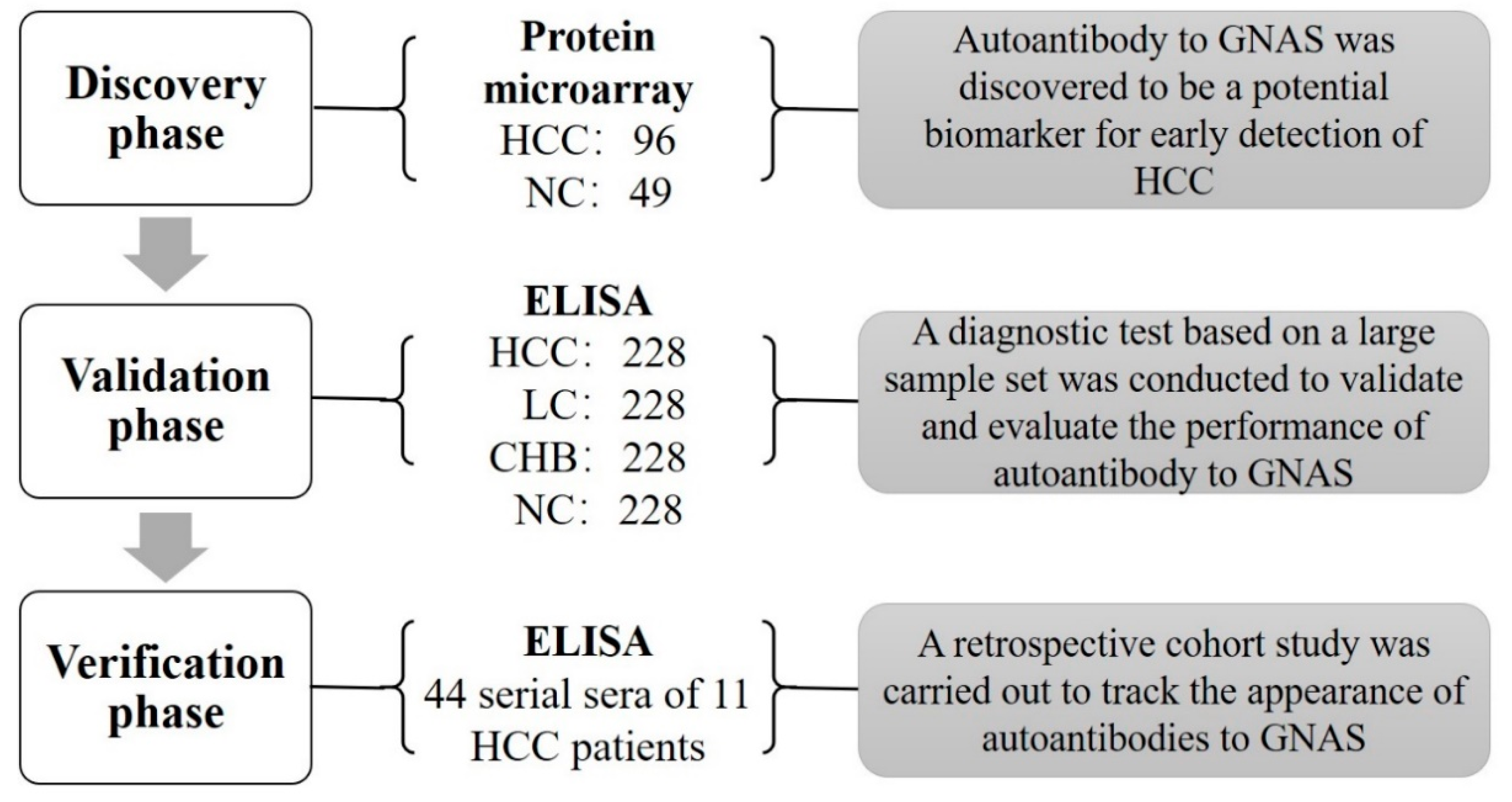 Biomedicines 10 00097 g001