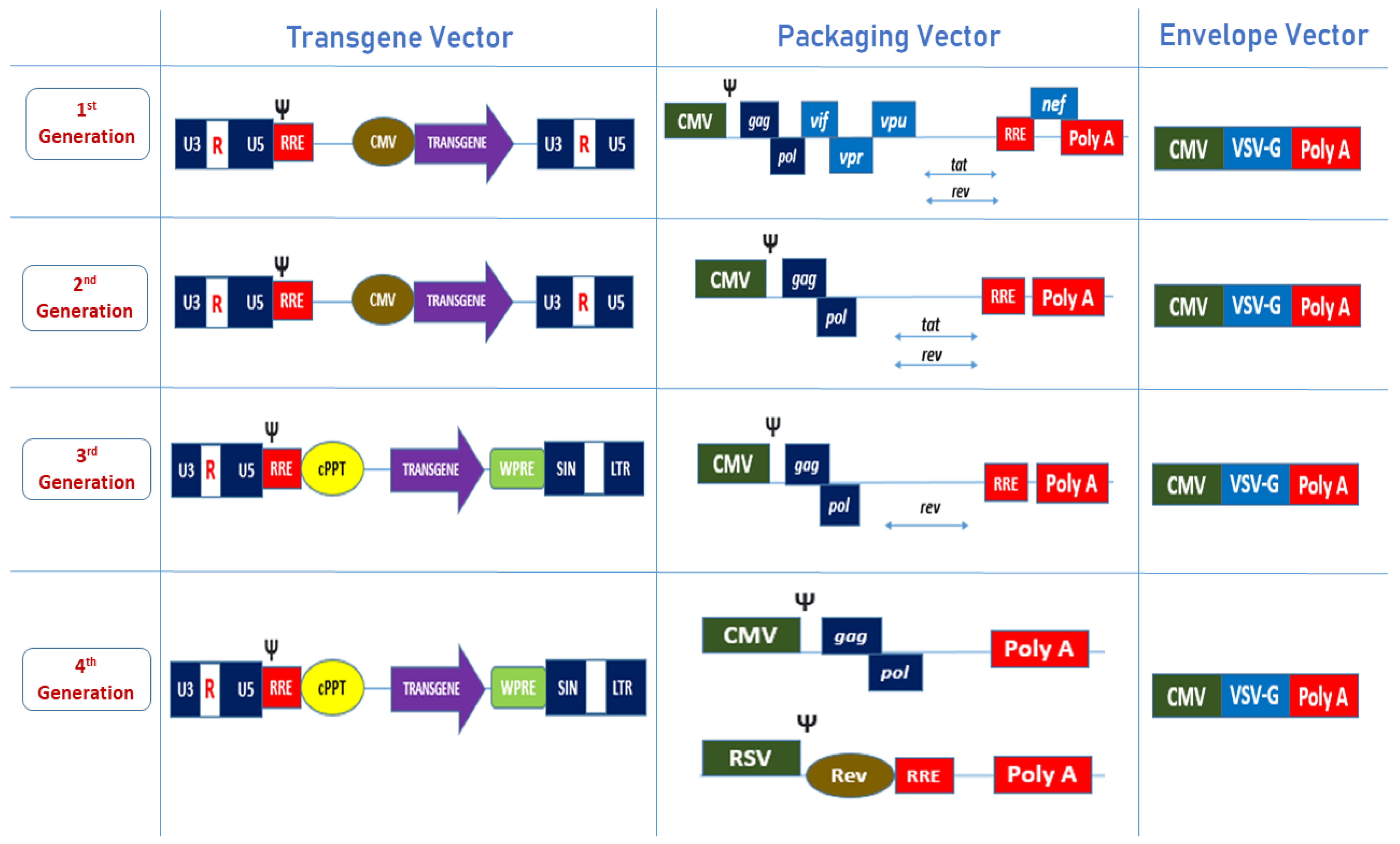 Biomedicines 10 00107 g002